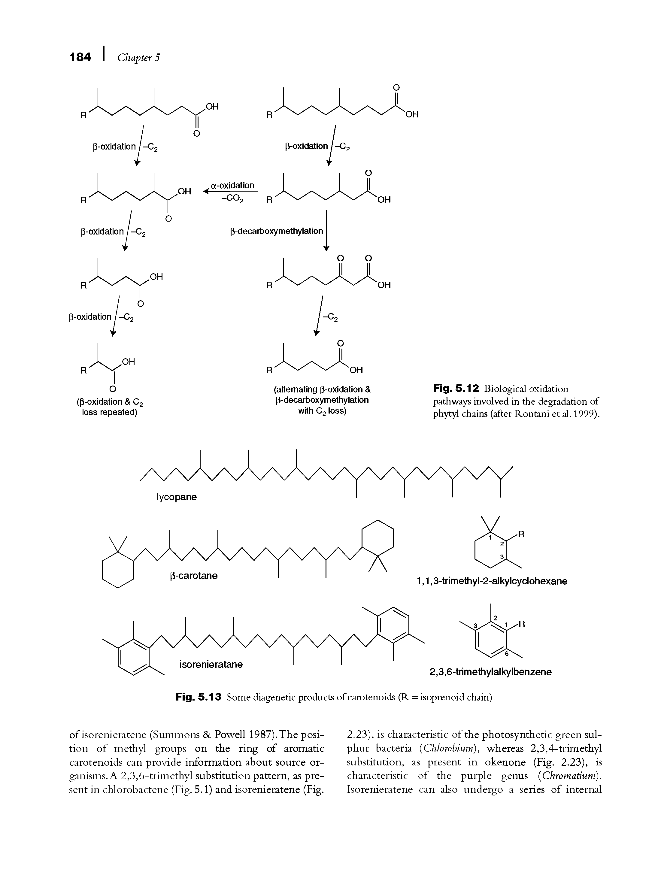 Fig. 5.13 Some diagenetic products of carotenoids (R = isoprenoid chain).