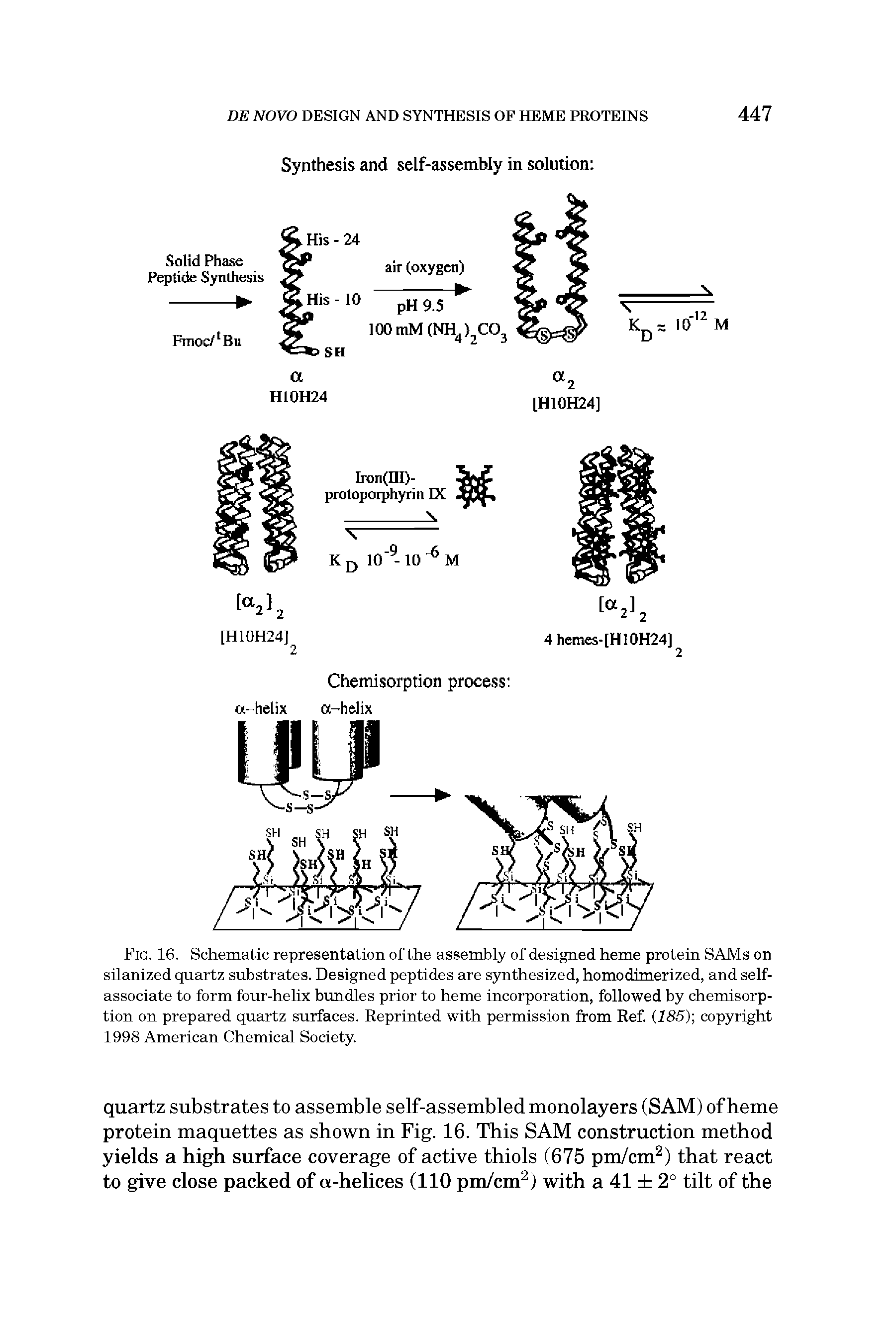 Fig. 16. Schematic representation of the assembly of designed heme protein SAMs on silanized quartz substrates. Designed peptides are synthesized, homodimerized, and selfassociate to form four-helix bundles prior to heme incorporation, followed by chemisorption on prepared quartz surfaces. Reprinted with permission from Ref. (185) copyright 1998 American Chemical Society.
