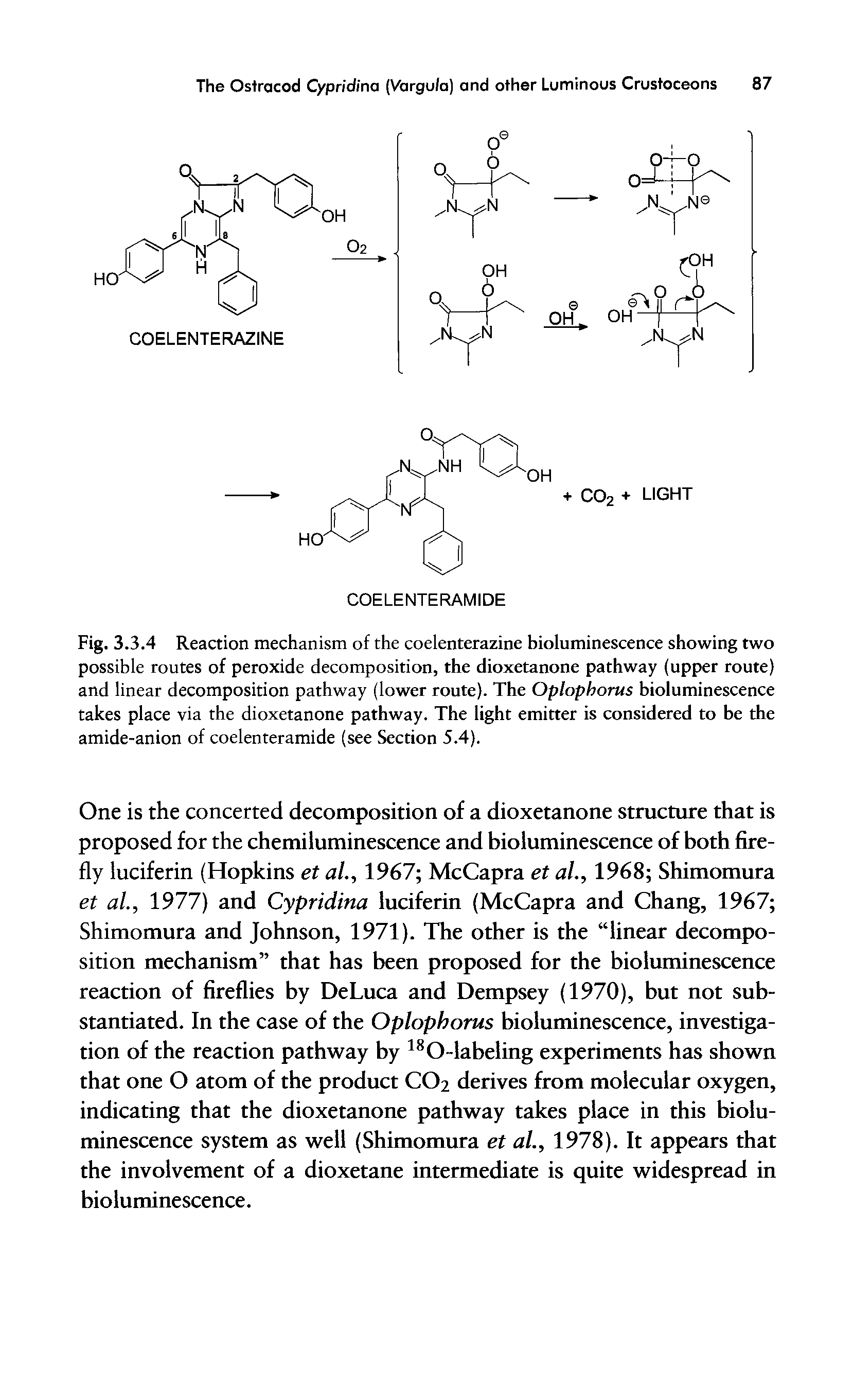 Fig. 3.3.4 Reaction mechanism of the coelenterazine bioluminescence showing two possible routes of peroxide decomposition, the dioxetanone pathway (upper route) and linear decomposition pathway (lower route). The Oplopborus bioluminescence takes place via the dioxetanone pathway. The light emitter is considered to be the amide-anion of coelenteramide (see Section 5.4).