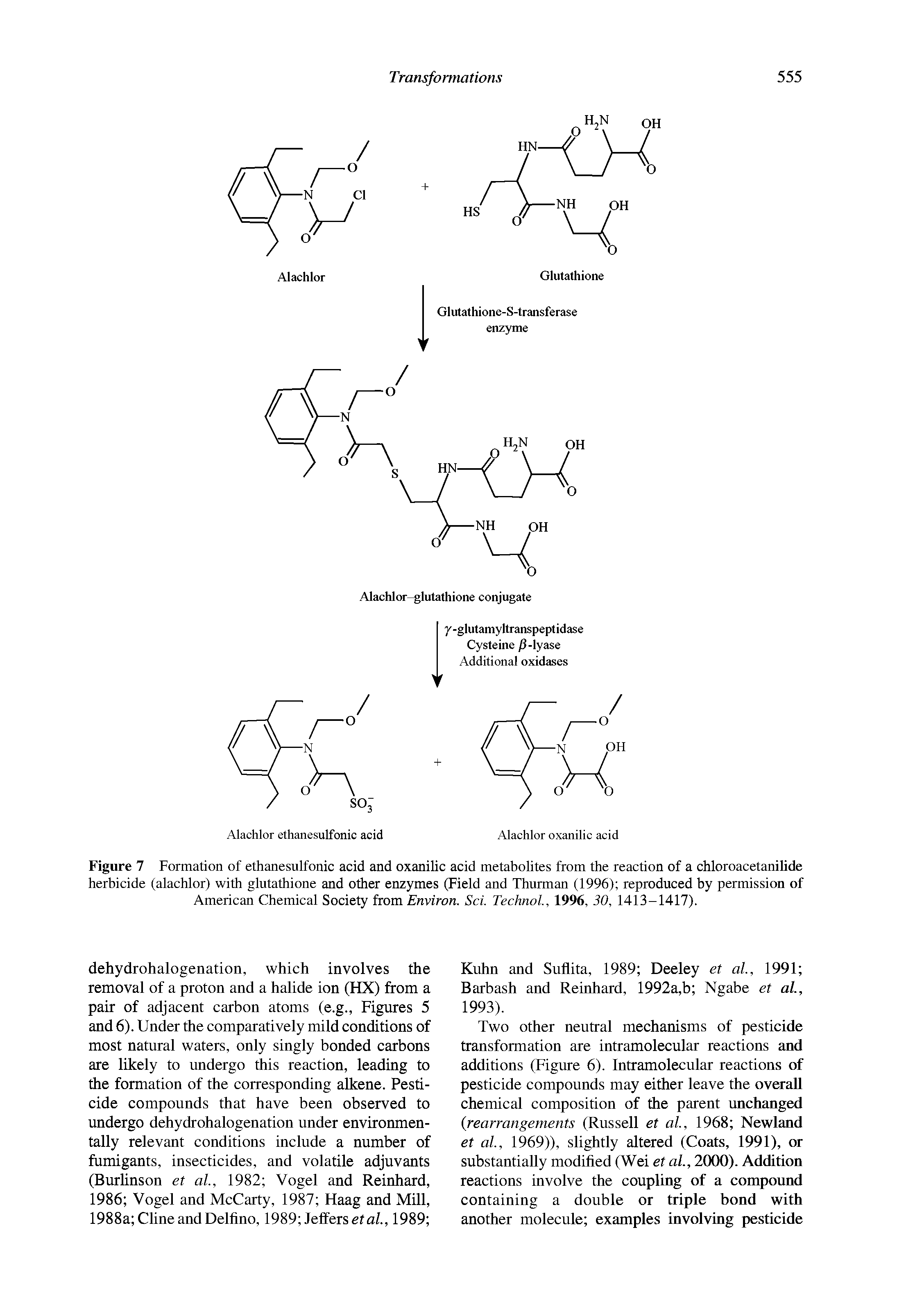 Figure 7 Formation of ethanesulfonic acid and oxanilic acid metabolites from the reaction of a chloroacetanilide herbicide (alachlor) with glutathione and other enzymes (Field and Thurman (1996) reproduced hy permission of American Chemical Society from Environ. Sci. Technol, 1996, 30, 1413-1417).