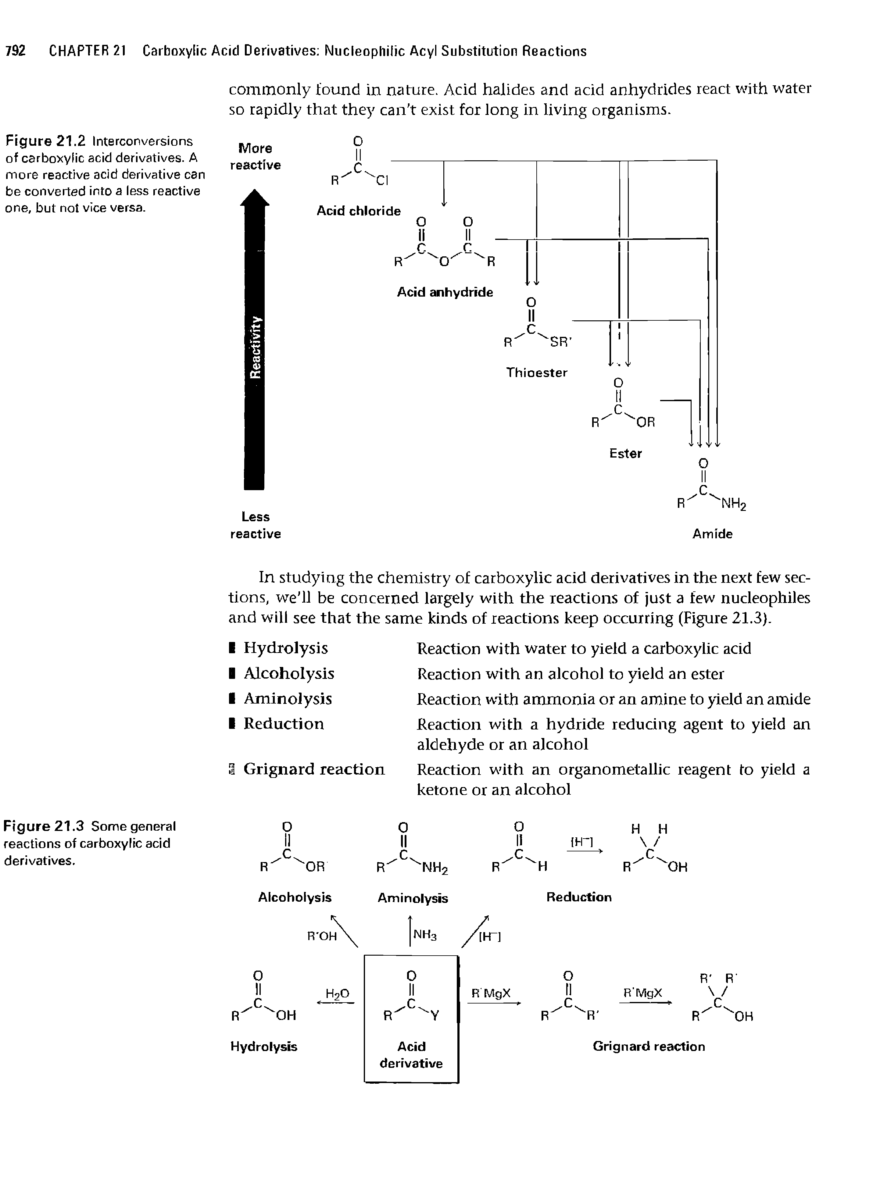 Figure 21.2 Interconversions of carboxylic acid derivatives. A more reactive acid derivative can be converted into a less reactive one, but not vice versa.