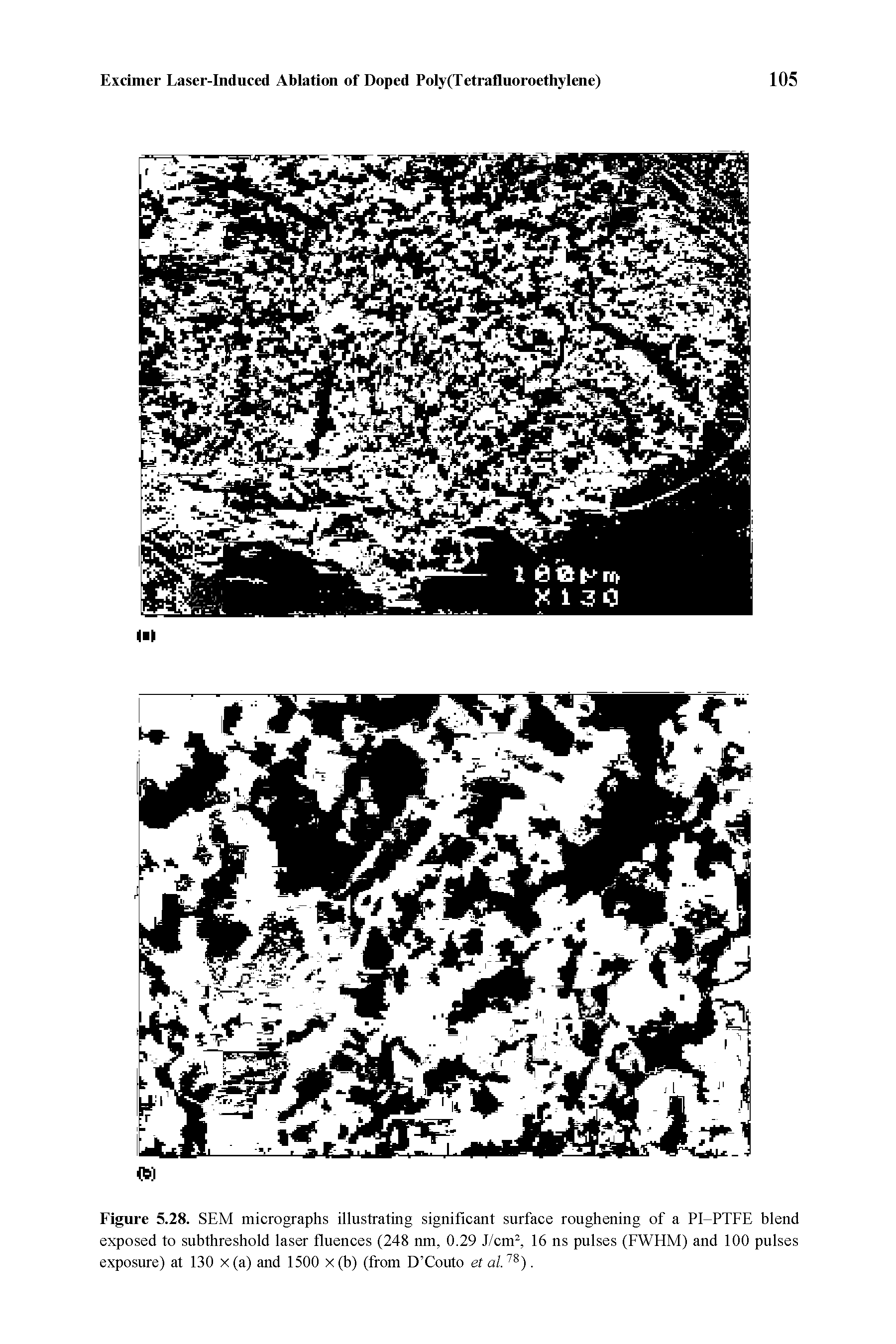 Figure 5.28. SEM micrographs illustrating significant surface roughening of a PI-PTFE blend exposed to subthreshold laser fluences (248 nm, 0.29 J/cm2, 16 ns pulses (FWE1M) and 100 pulses exposure) at 130 x(a) and 1500 x(b) (from D Couto et al.ls).