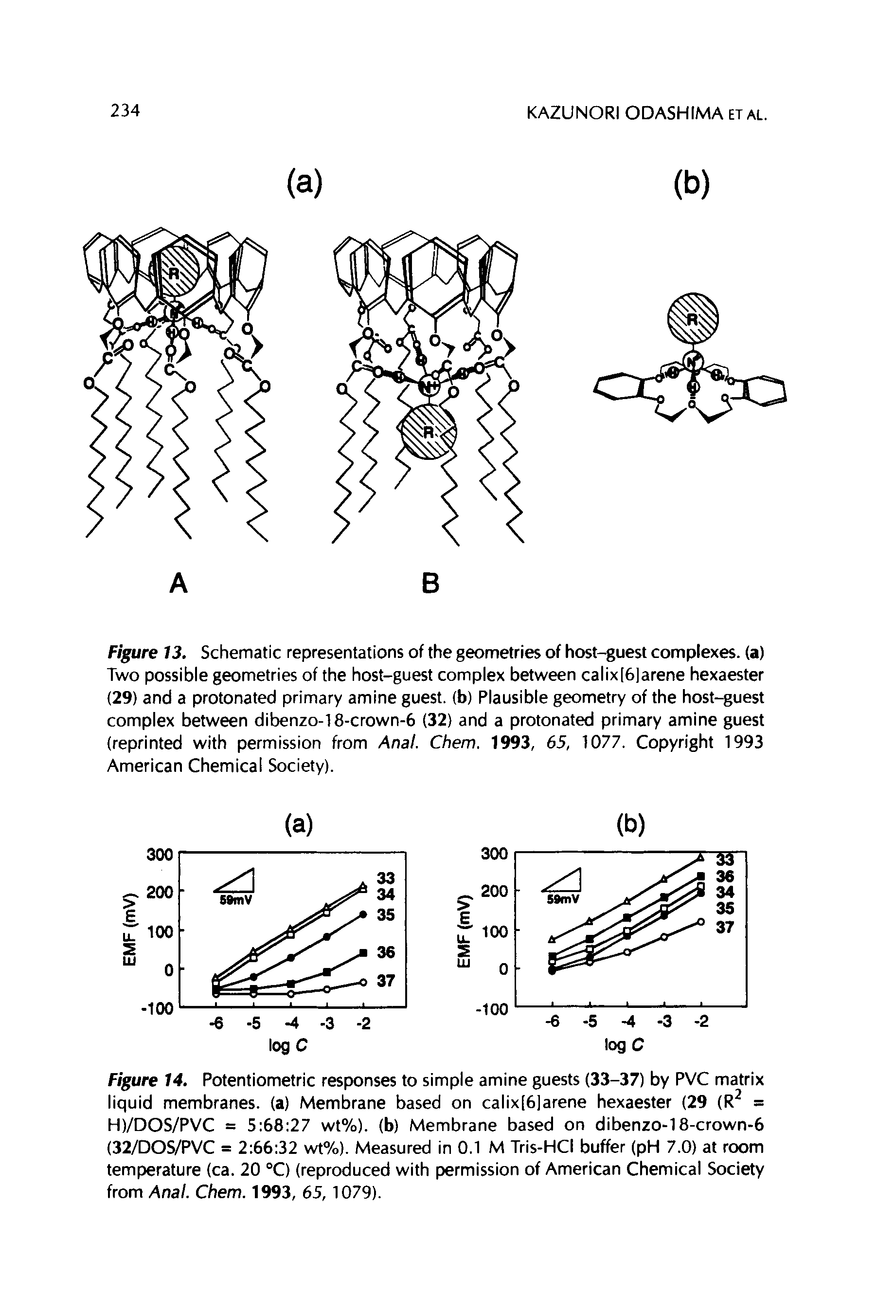 Figure 13. Schematic representations of the geometries of host-guest complexes, (a) Two possible geometries of the host-guest complex between calix[6jarene hexaester (29) and a protonated primary amine guest, (b) Plausible geometry of the host-guest complex between dibenzo-18-crown-6 (32) and a protonated primary amine guest...