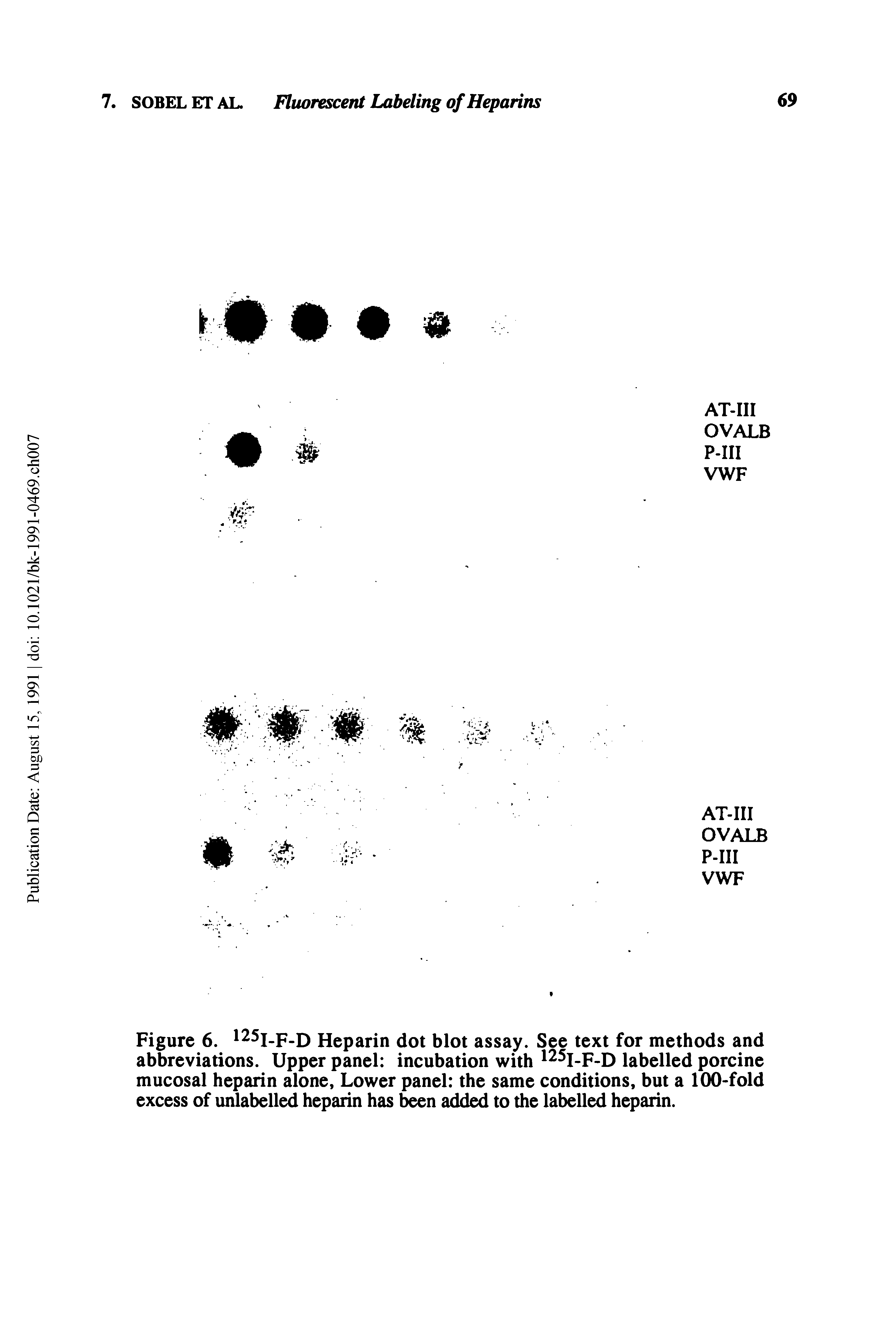 Figure 6. 125I-F-D Heparin dot blot assay. See text for methods and abbreviations. Upper panel incubation with 125I-F-D labelled porcine mucosal heparin alone, Lower panel the same conditions, but a 100-fold excess of unlabelled heparin has been added to the labelled heparin.