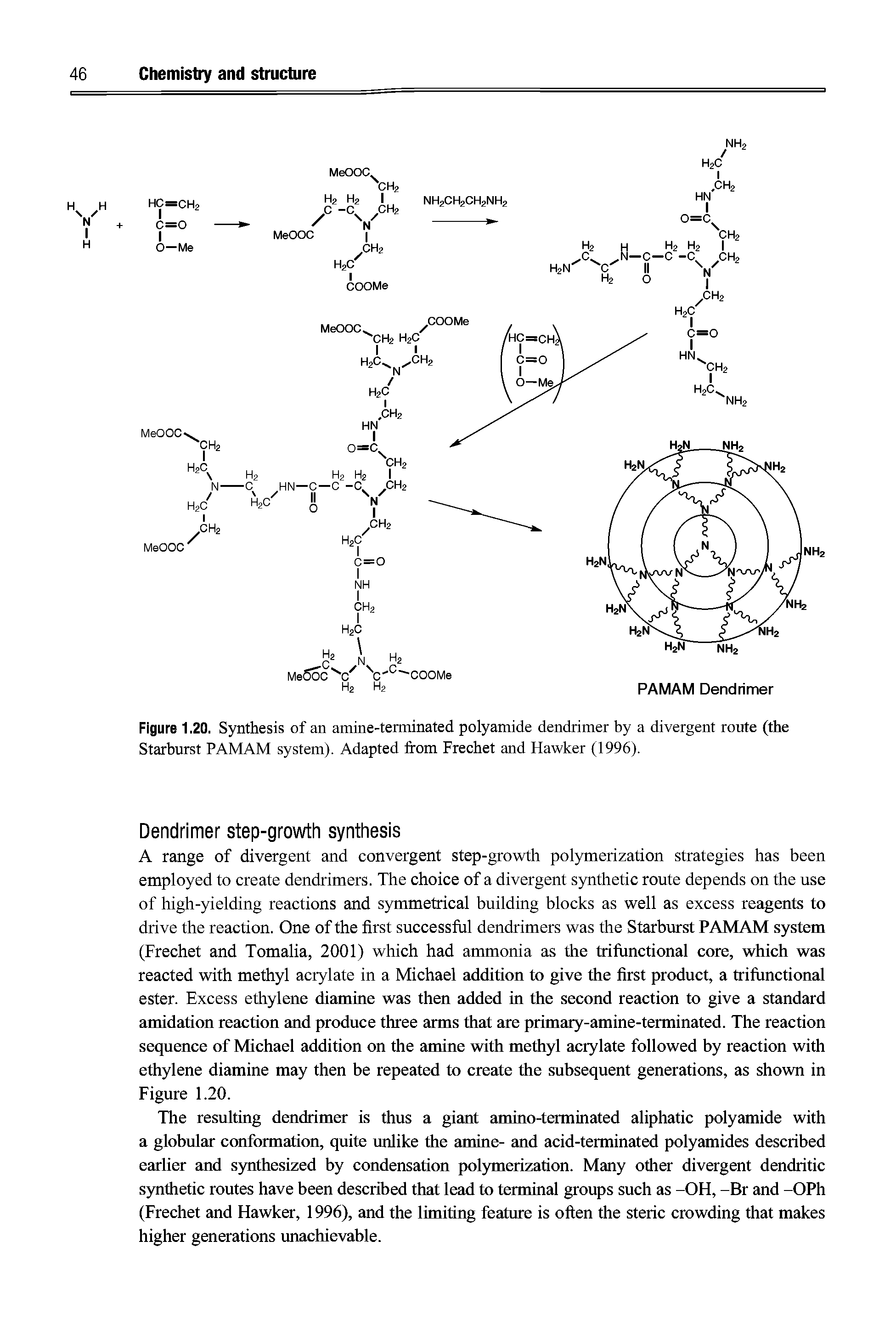 Figure 1.20. Synthesis of an amine-terminated polyamide dendrimer by a divergent route (the Starburst PAMAM system). Adapted from Frechet and Hawker (1996).