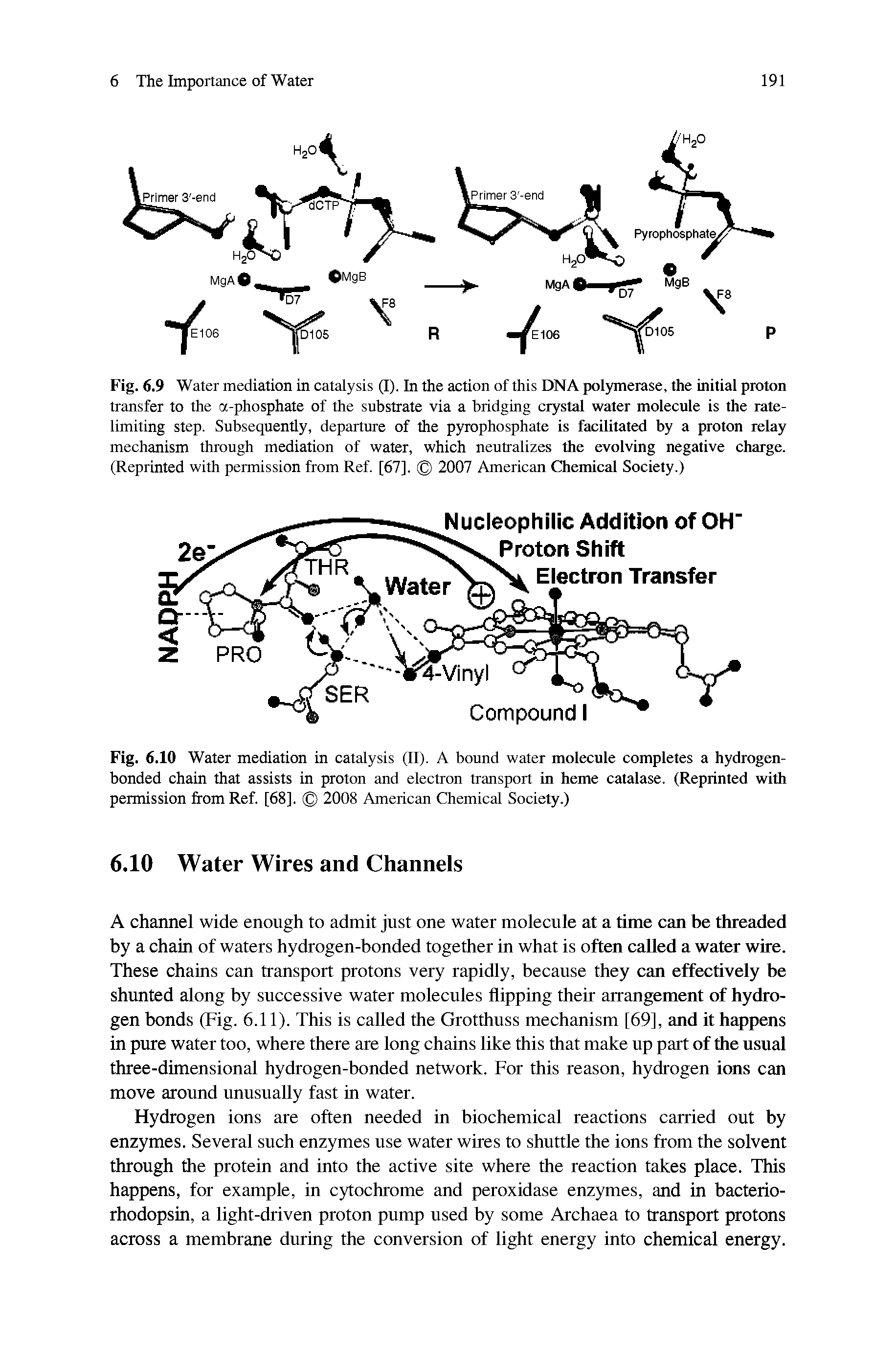 Fig. 6.9 Water mediation in catalysis (I). In the action of this DNA polymerase, the initial proton transfer to the a-phosphate of the substrate via a bridging crystal water molecule is the rate-limiting step. Subsequently, departure of the pyrophosphate is facilitated by a proton relay mechanism through mediation of water, which neutralizes the evolving negative charge. (Reprinted with permission from Ref. [67], 2007 American Chemical Society.)...