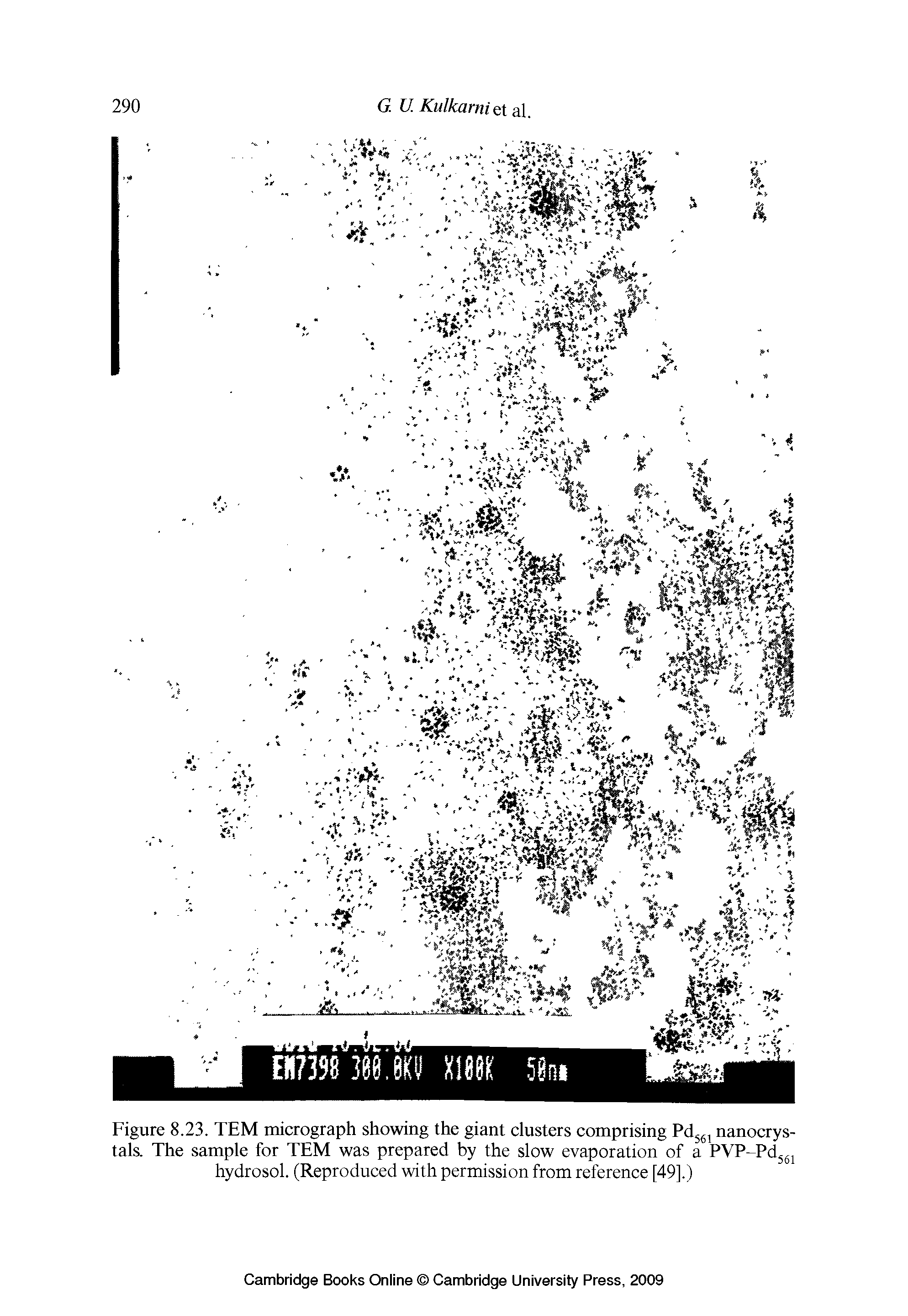 Figure 8.23. TEM micrograph showing the giant clusters comprising Pd561 nanocrystals. The sample for TEM was prepared by the slow evaporation of a PVP- Pd561 hydrosol. (Reproduced with permission from reference [49].)...