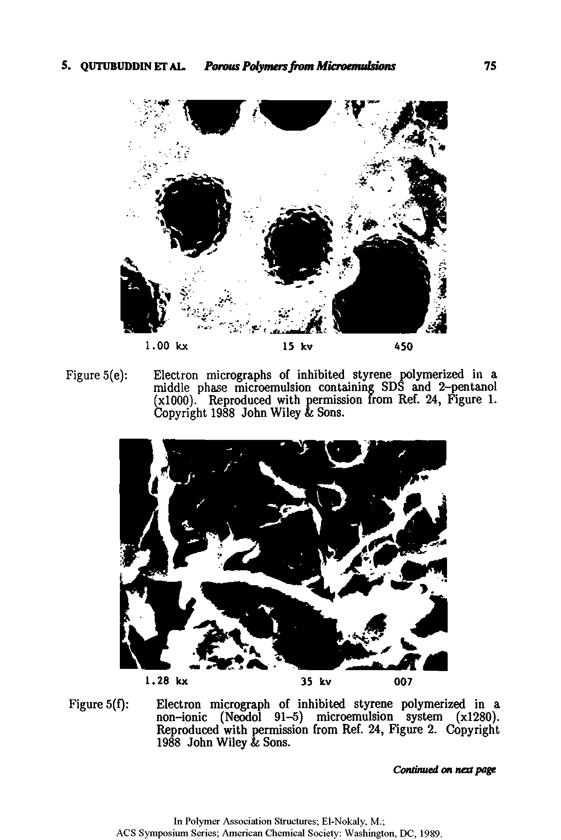 Figure 5(e) Electron micrographs of inhibited styrene polymerized in a middle phase microemulsion containing SDS and 2-pentanol (xlOOO). Reproduced with permission from Ref. 24, Figure 1. Copyright 1988 John Wiley Sons.