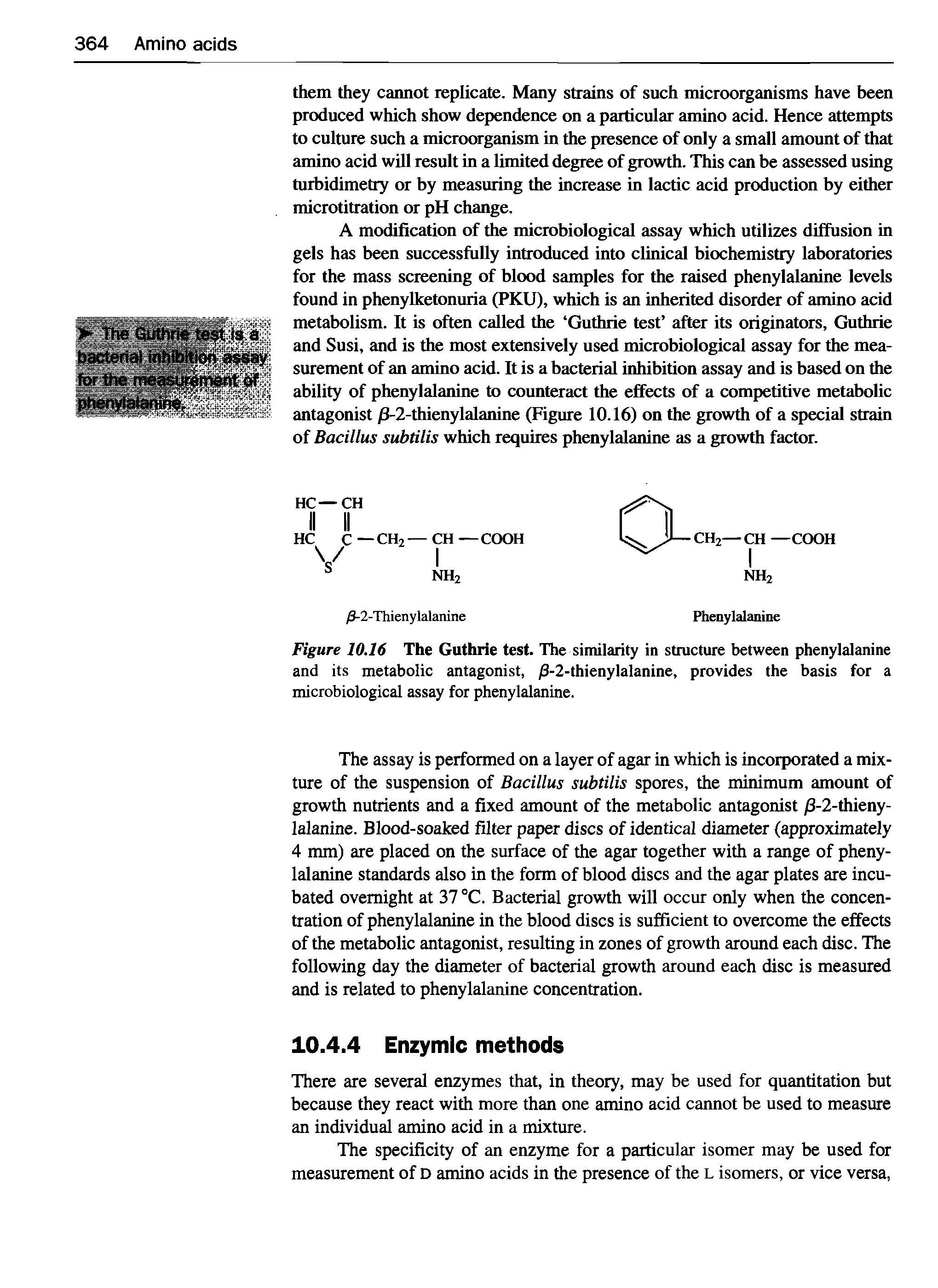 Figure 10.16 The Guthrie test. The similarity in structure between phenylalanine and its metabolic antagonist, /3-2-thienylalanine, provides the basis for a microbiological assay for phenylalanine.