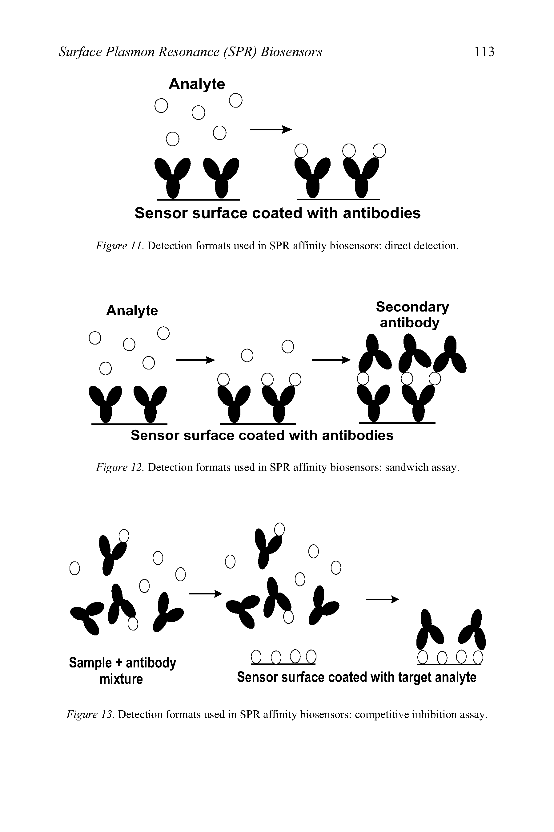 Figure 11. Detection formats used in SPR affinity biosensors direct detection.