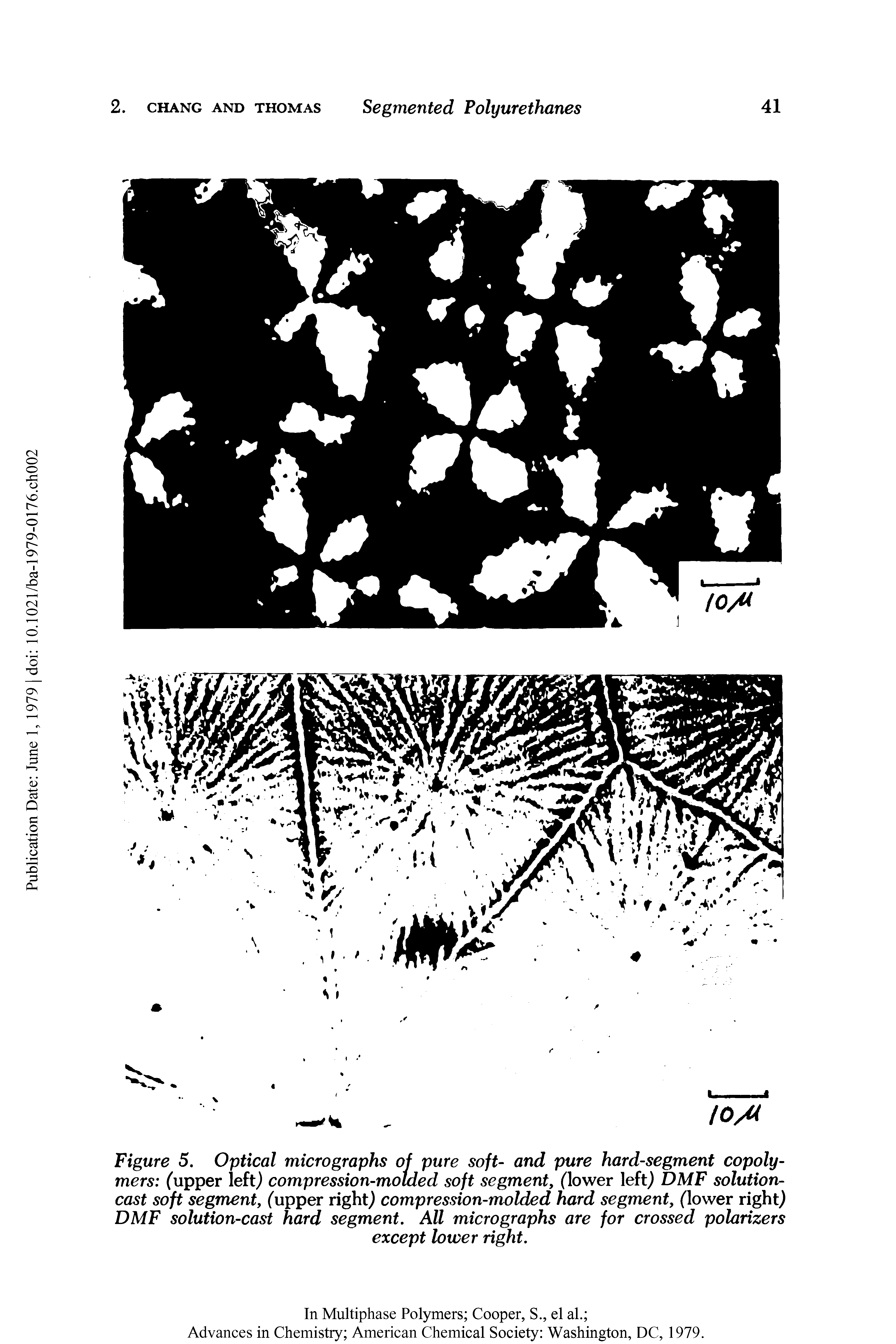Figure 5. Optical micrographs of pure soft- and pure hard-segment copolymers (upper left) compression-molded soft segment, (lower left) DMF solution-cast soft segment, (upper right) compression-molded hard segment, (lower right) DMF solution-cast hard segment. All micrographs are for crossed polarizers...