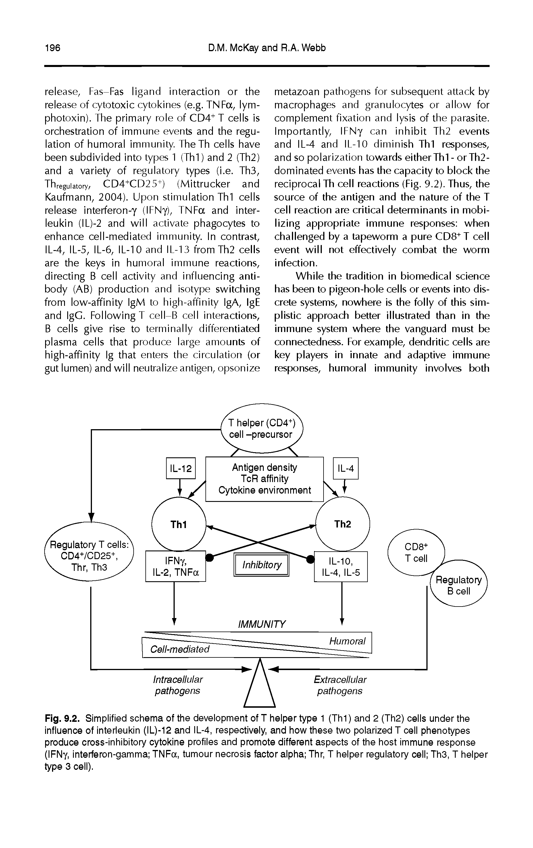 Fig. 9.2. Simplified schema of the development of T helper type 1 (Th1) and 2 (Th2) cells under the influence of interleukin (IL)-12 and IL-4, respectively, and how these two polarized T cell phenotypes produce cross-inhibitory cytokine profiles and promote different aspects of the host immune response (IFNy, interferon-gamma TNFa, tumour necrosis factor alpha Thr, T helper regulatory cell Th3, T helper type 3 cell).