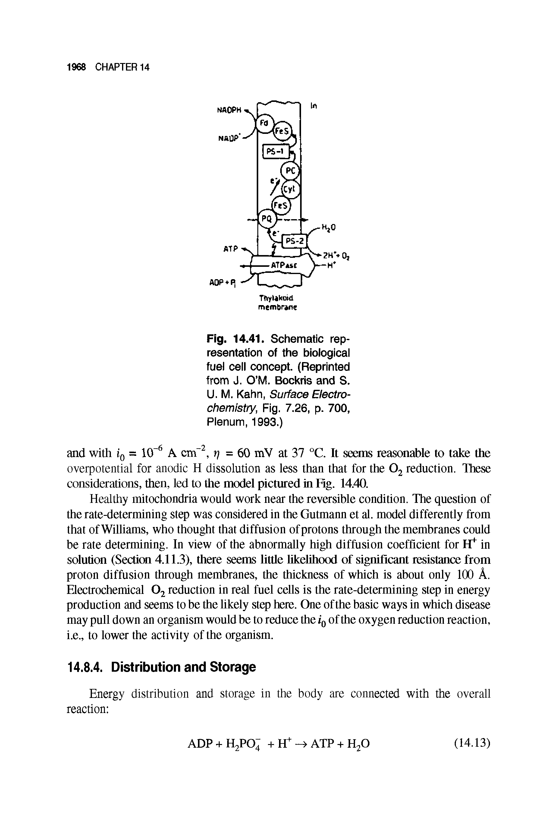 Fig. 14.41. Schematic representation of the biological fuel cell concept. (Reprinted from J. O M. Bockris and S.