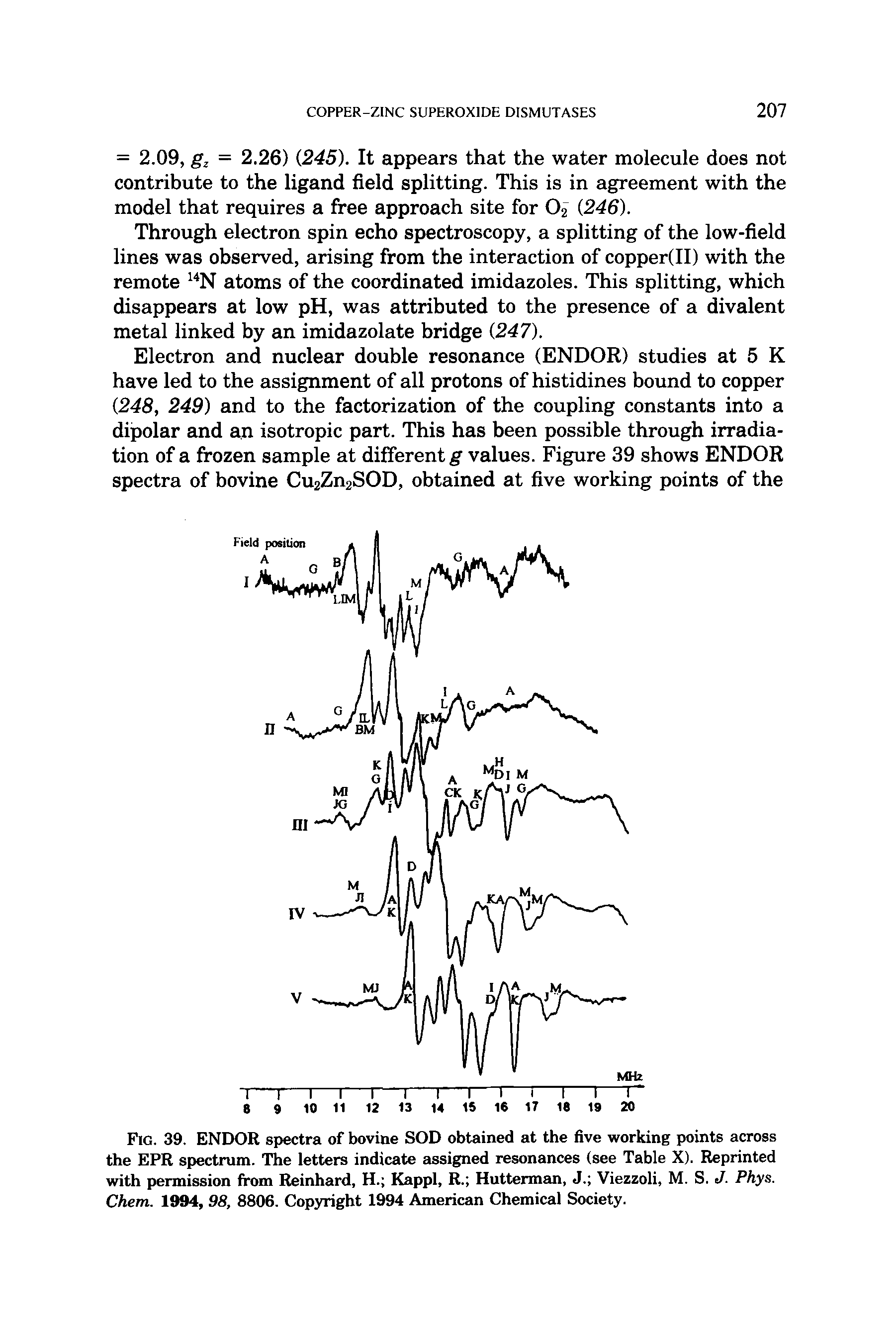 Fig. 39. ENDOR spectra of bovine SOD obtained at the five working points across the EPR spectrum. The letters indicate assigned resonances (see Table X). Reprinted with permission from Reinhard, H. Kappl, R. Hutterman, J. Viezzoli, M. S. J. Phys. Chem. 1994, 98, 8806. Copyright 1994 American Chemical Society.