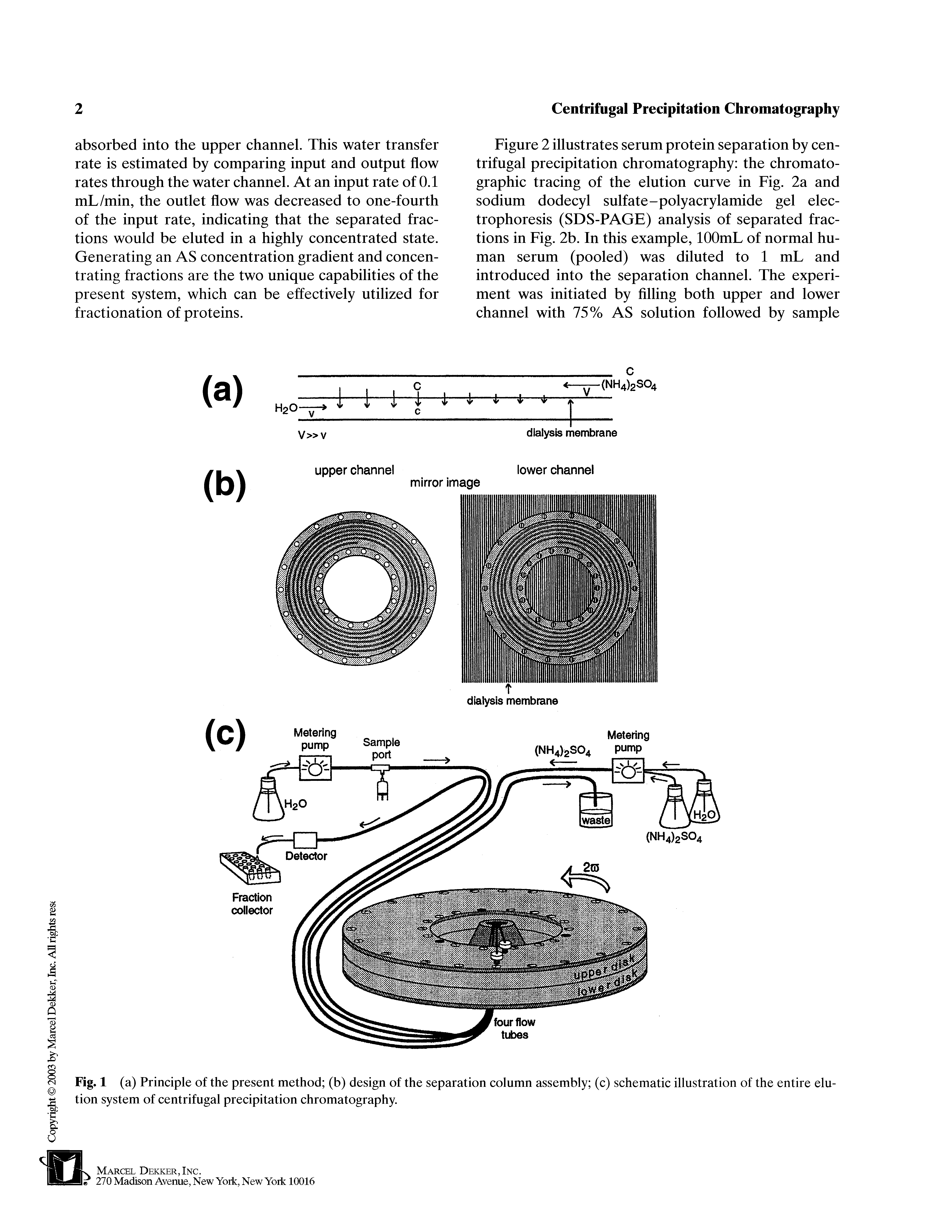 Figure 2 illustrates serum protein separation by centrifugal precipitation chromatography the chromatographic tracing of the elution curve in Fig. 2a and sodium dodecyl sulfate-polyacrylamide gel electrophoresis (SDS-PAGE) analysis of separated fractions in Fig. 2b. In this example, lOOmL of normal human serum (pooled) was diluted to 1 mL and introduced into the separation channel. The experiment was initiated by filling both upper and lower channel with 75% AS solution followed by sample...