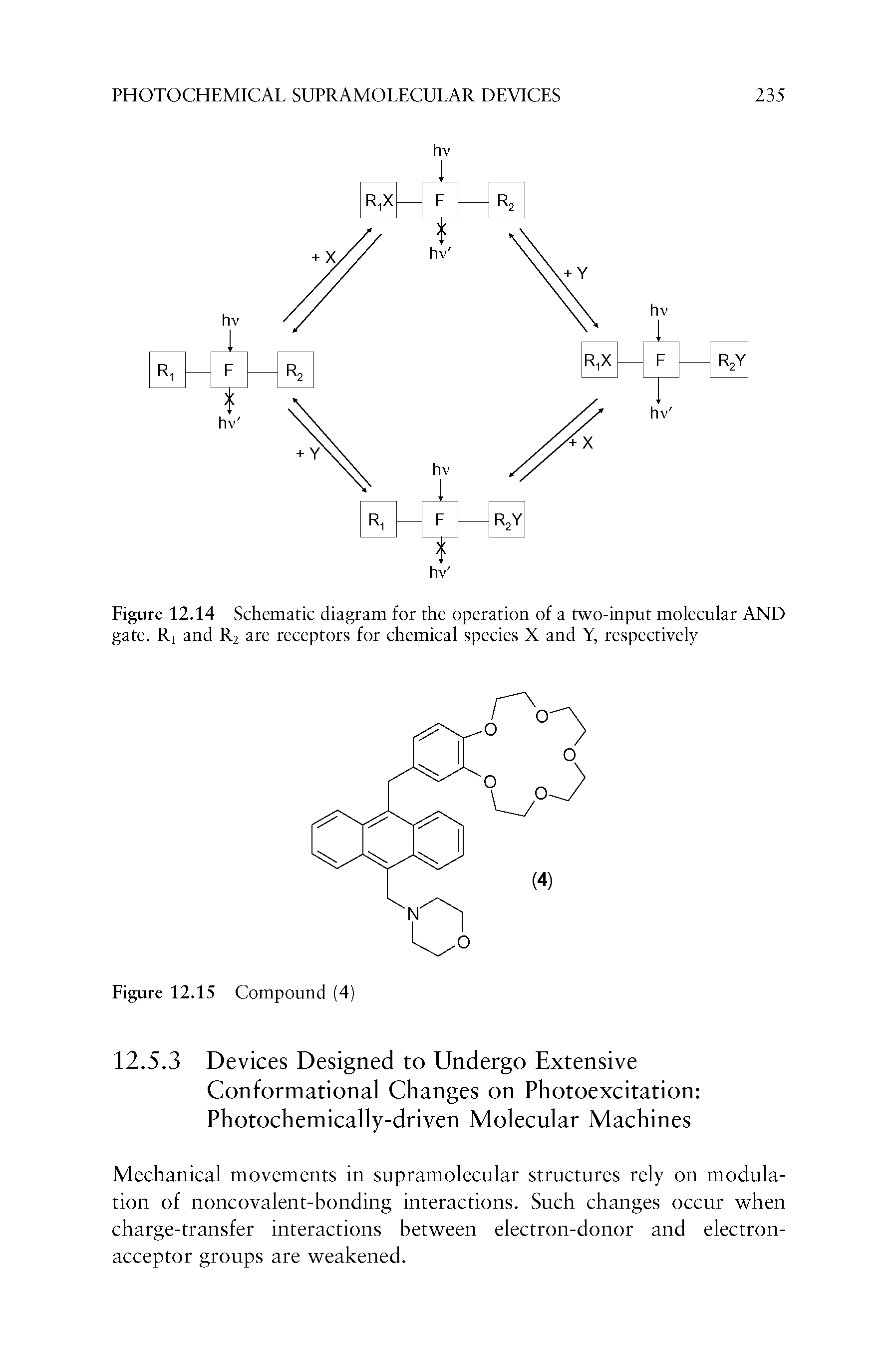 Figure 12.14 Schematic diagram for the operation of a two-input molecular AND gate. Ri and R2 are receptors for chemical species X and Y, respectively...