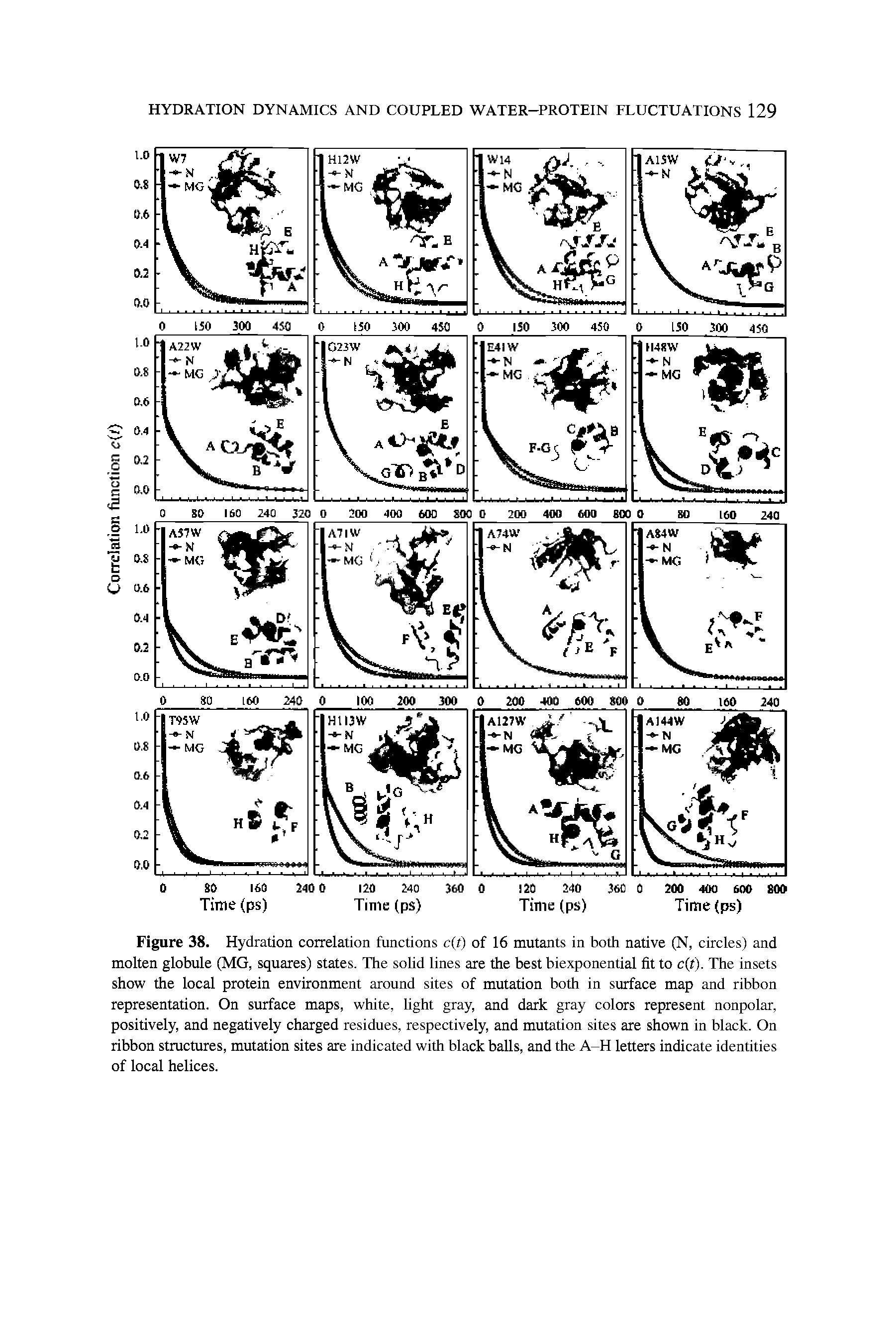 Figure 38. Hydration correlation functions c(t) of 16 mutants in both native (N, circles) and molten globule (MG, squares) states. The solid lines are the best biexponential fit to c t). The insets show the local protein environment around sites of mutation both in surface map and ribbon representation. On surface maps, white, light gray, and dark gray colors represent nonpolar, positively, and negatively charged residues, respectively, and mutation sites are shown in black. On ribbon structures, mutation sites are indicated with black balls, and the A-H letters indicate identities of local helices.