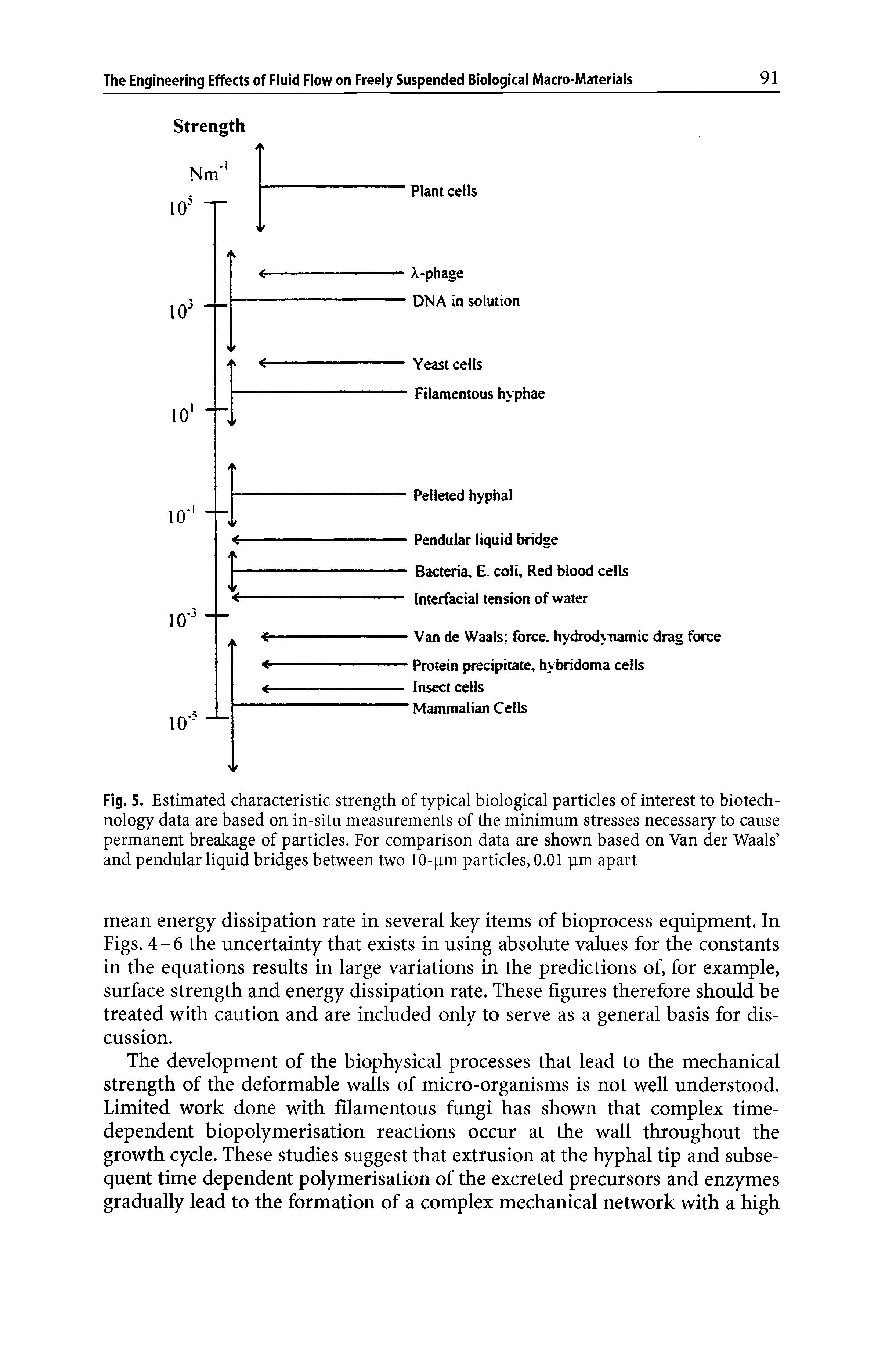 Fig. 5. Estimated characteristic strength of typical biological particles of interest to biotechnology data are based on in-situ measurements of the minimum stresses necessary to cause permanent breakage of particles. For comparison data are shown based on Van der Waals and pendular liquid bridges between two 10-pm particles, 0.01 pm apart...