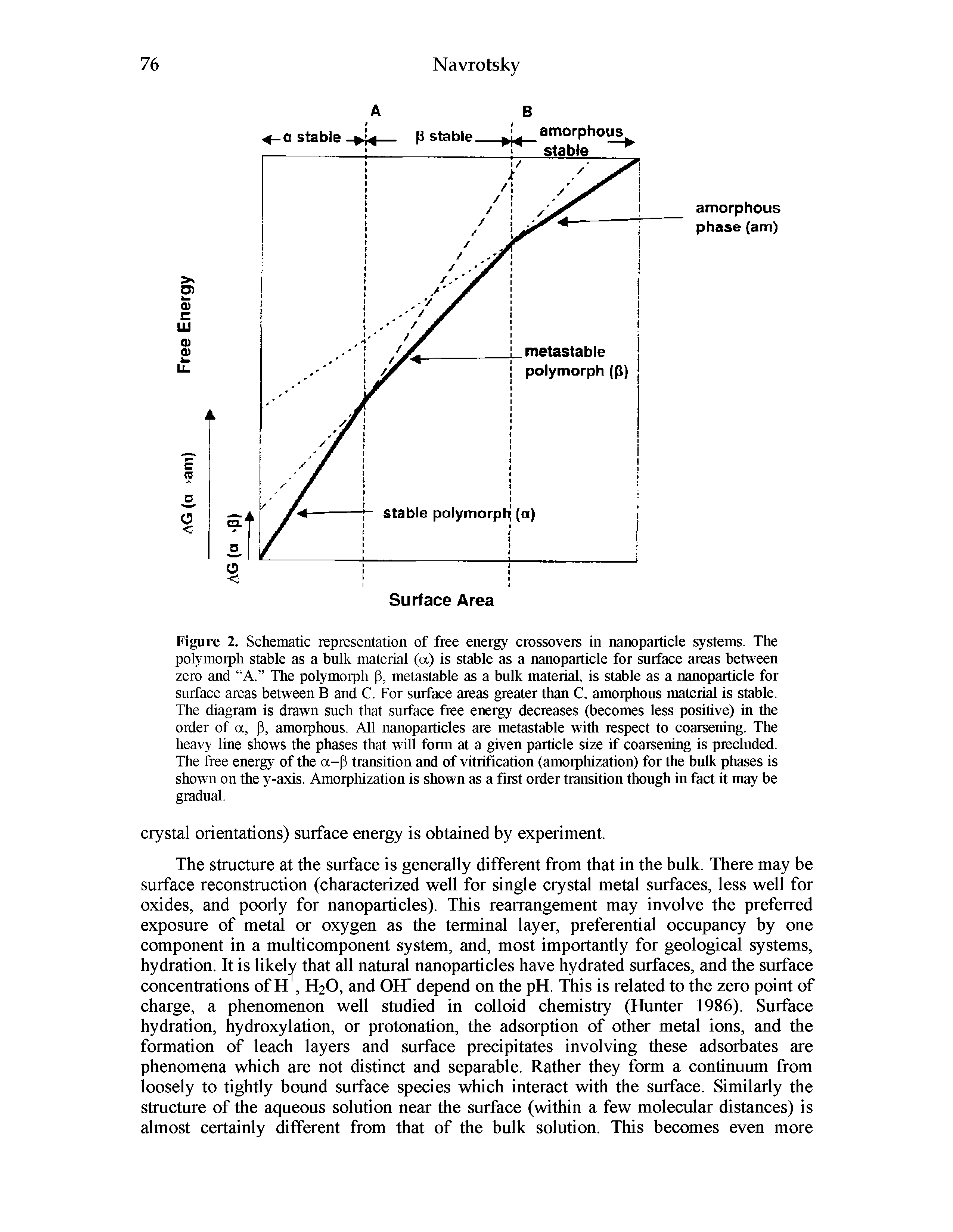 Figure 2. Schematic representation of free energy crossovers in nanoparticle systems. The polymorph stable as a bulk material (a) is stable as a nanoparticle for surface areas between zero and A. The polymorph p, metastable as a bulk material, is stable as a nanoparticle for surface areas between B and C. For surface areas greater than C, amorphous material is stable.