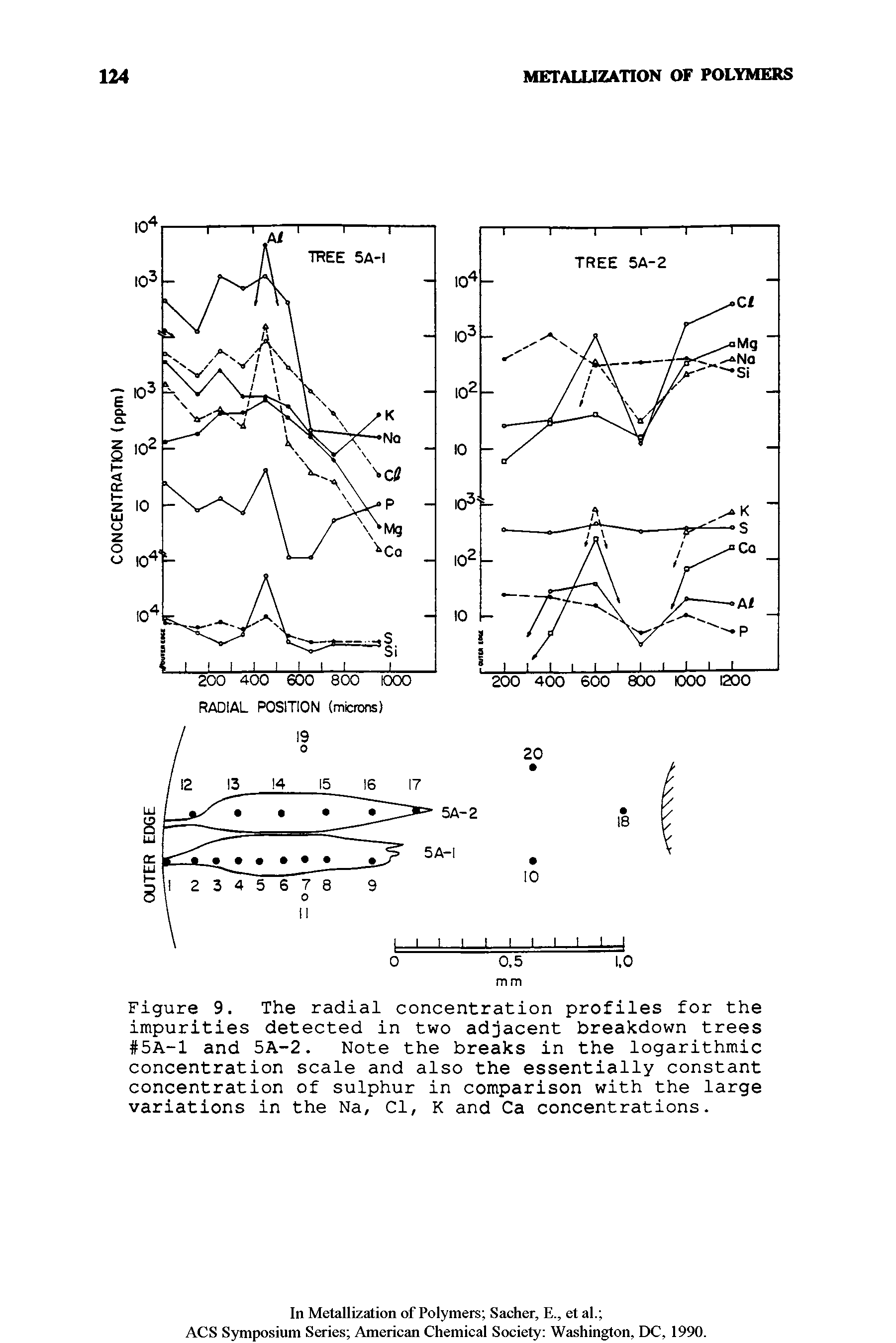 Figure 9. The radial concentration profiles for the impurities detected in two adjacent breakdown trees 5A-1 and 5A-2. Note the breaks in the logarithmic concentration scale and also the essentially constant concentration of sulphur in comparison with the large variations in the Na, Cl, K and Ca concentrations.