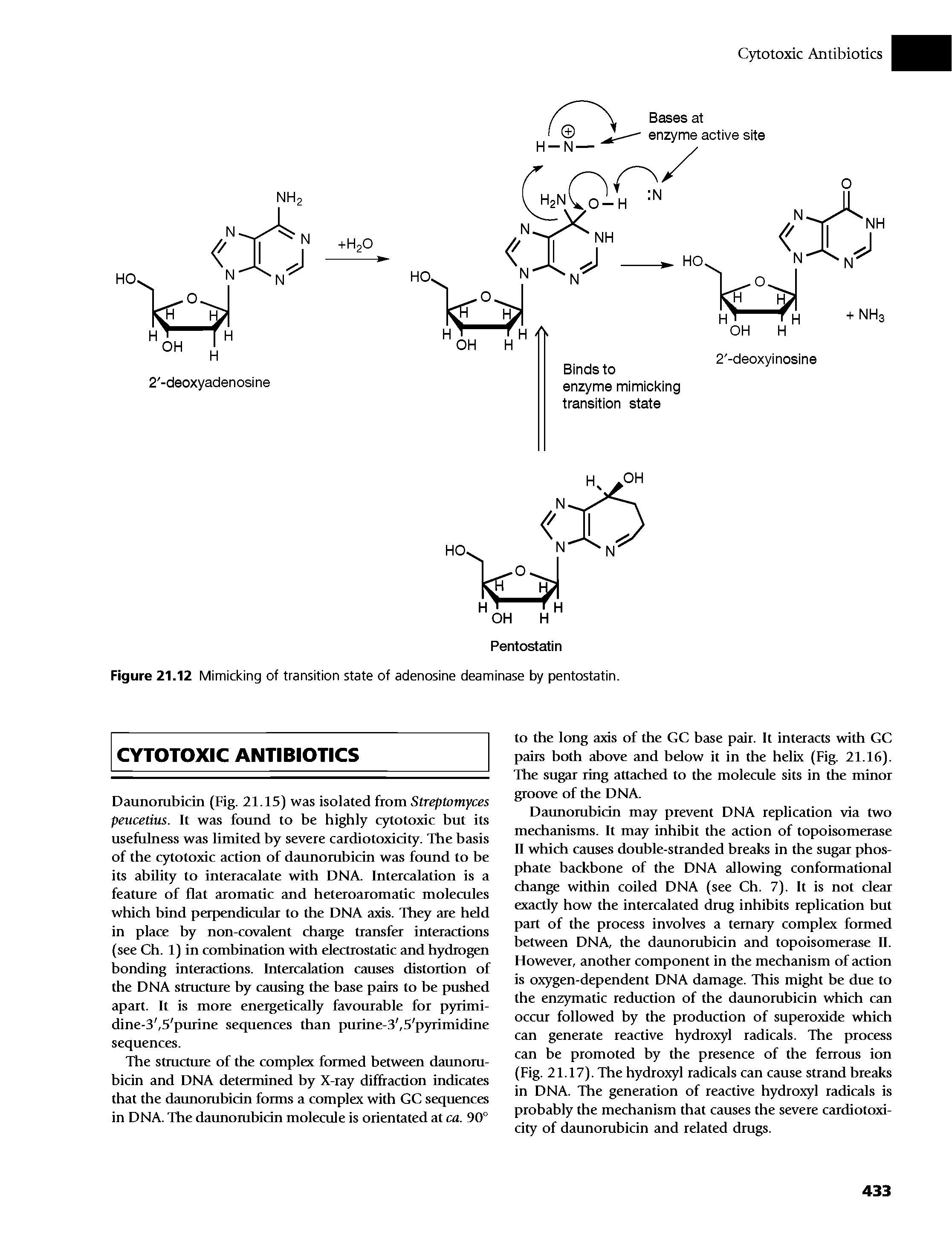 Figure 21.12 Mimicking of transition state of adenosine deaminase by pentostatin.