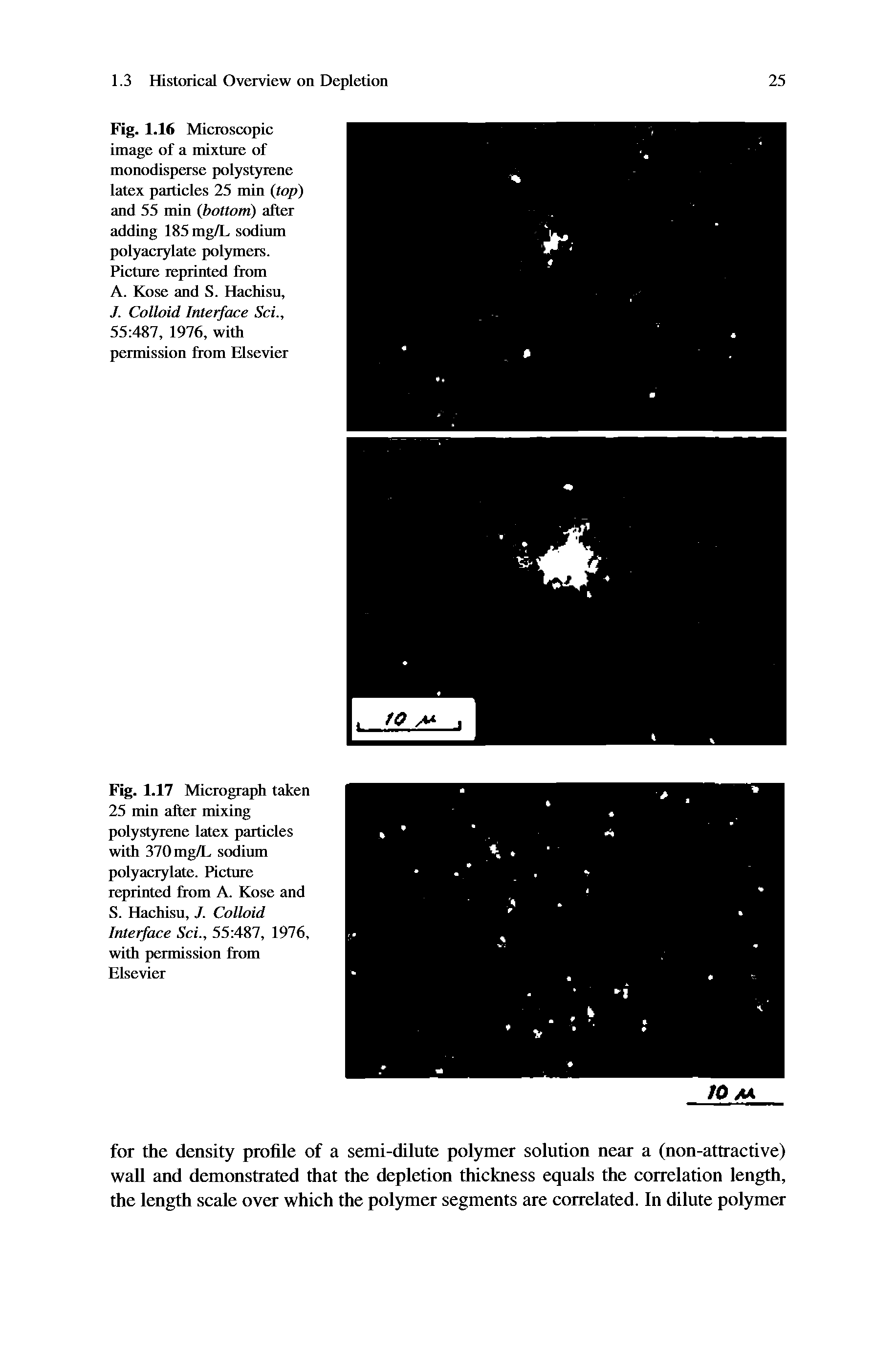 Fig. 1.16 Microscopic image of a mixture of monodisperse polystyrene latex particles 25 min (top) and 55 min (bottom) after adding 185 mg/L sodium polyacrylate polymers. Picture reprinted from A. Kose and S. Hachisu,...