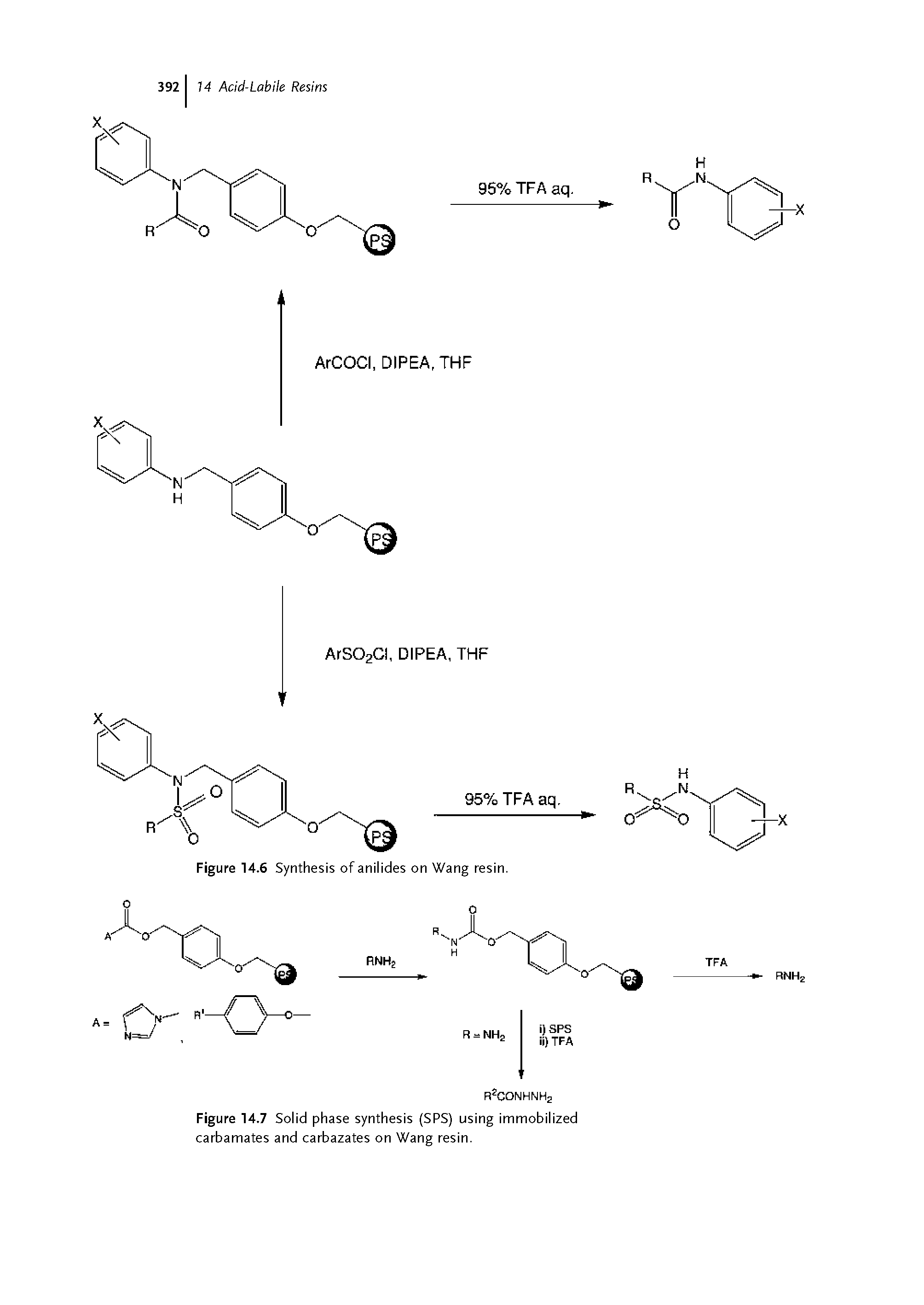 Figure 14.7 Solid phase synthesis (SPS) using immobilized carbamates and carbazates on Wang resin.