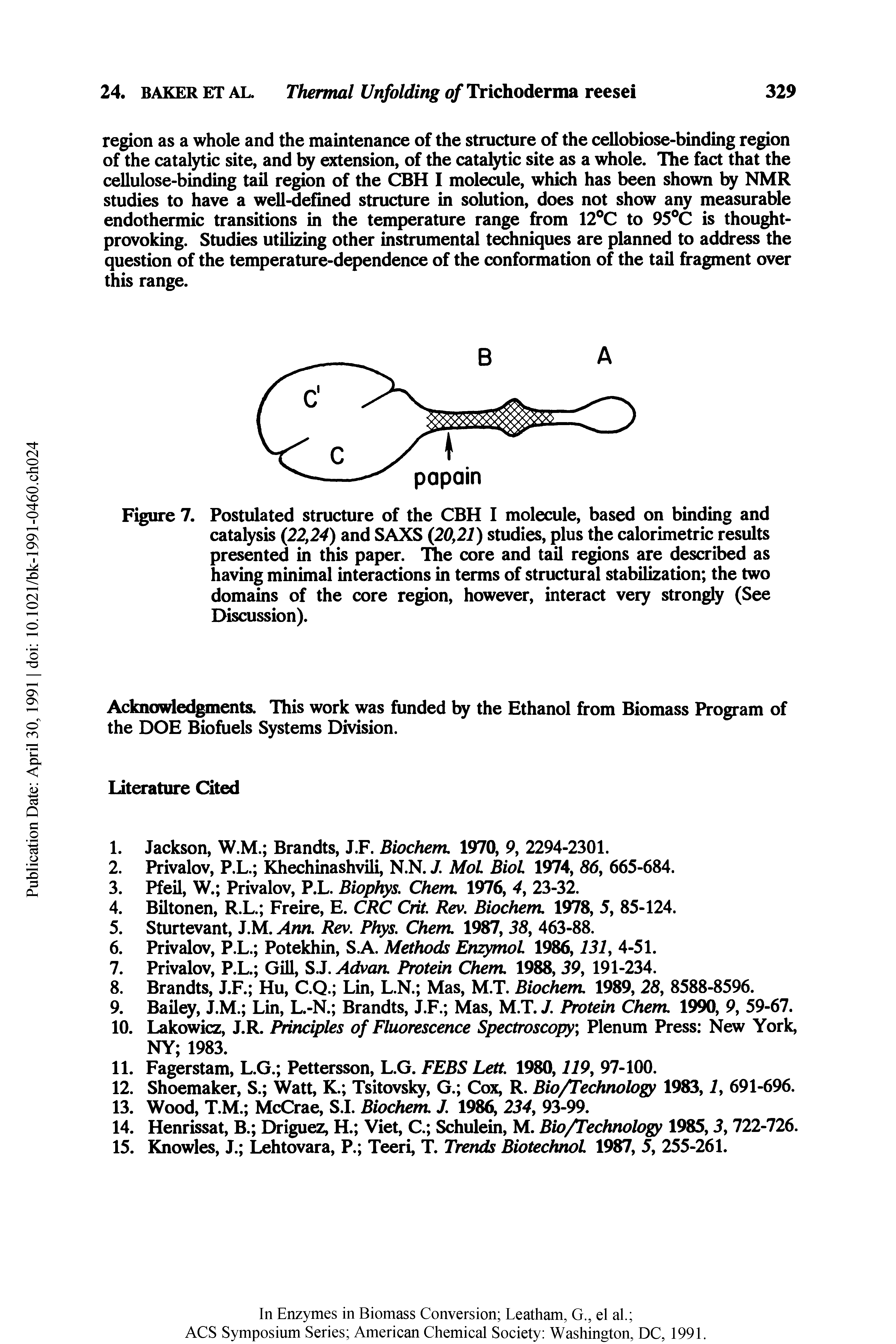 Figure 7. Postulated structure of the CBH I molecule, based on binding and catalysis (22,24) and SAXS (20,21) studies, plus the calorimetric results presented in this paper, l e core and tail regions are described as having minimal interactions in terms of structural stabilization the two domains of the core region, however, interact veiy strongly (See Discussion).