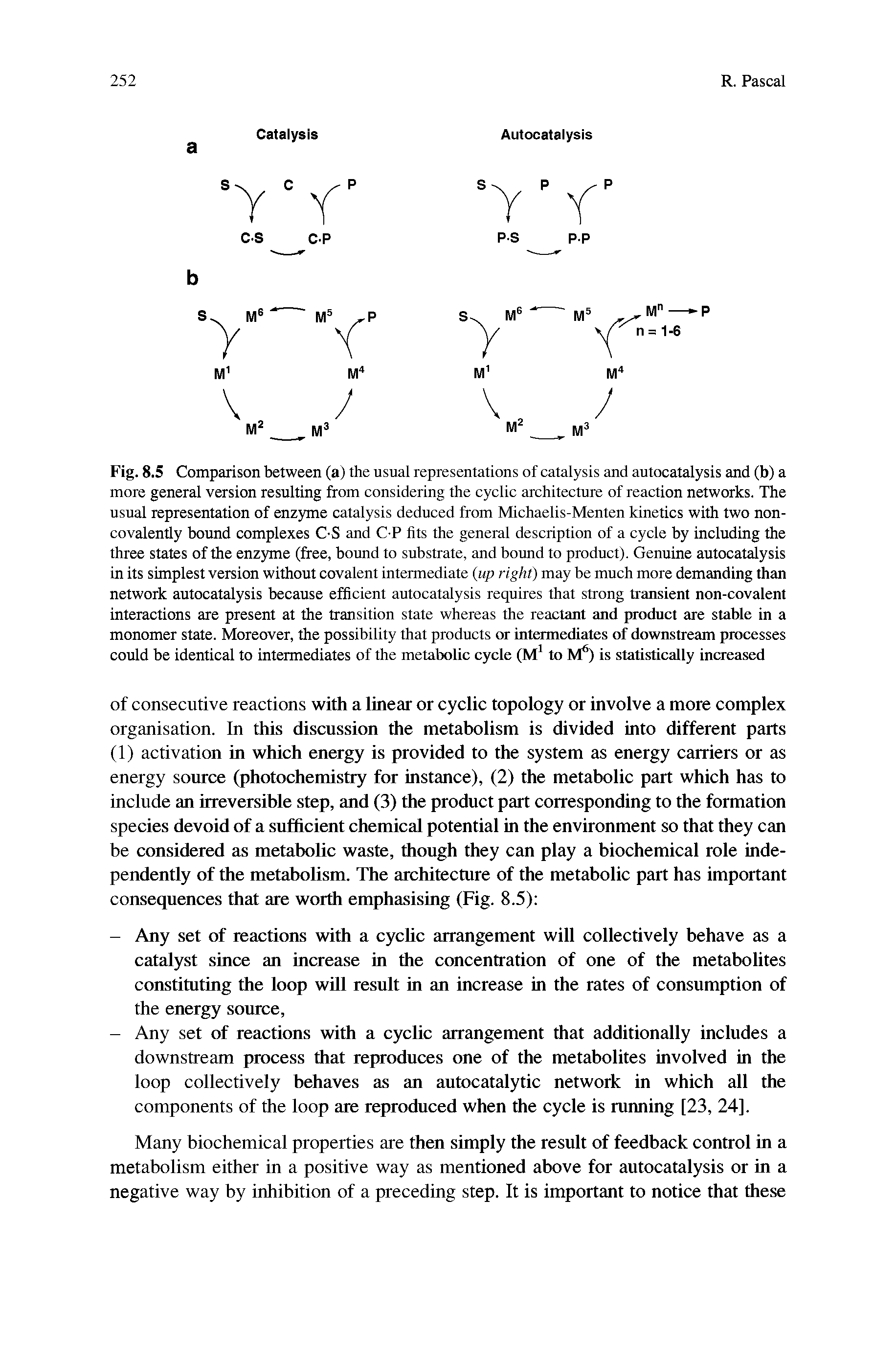 Fig. 8.5 Comparison between (a) the usual representations of catalysis and autocatalysis and (b) a more general version resulting from considering the cyclic architecture of reaction networks. The usual representation of enzyme catalysis deduced from Michaelis-Menten kinetics with two non-covalently bound complexes C S and C P fits the general description of a cycle by including the three states of the enzyme (free, bound to substrate, and bound to product). Genuine autocatalysis in its simplest version without covalent intermediate (up right) may be much more demanding than network autocatalysis because efficient autocatalysis requires that strong transient non-covalent interactions are present at the transition state whereas the reactant and product are stable in a monomer state. Moreover, the possibility that products or intermediates of downstream processes could be identical to intermediates of the metabolic cycle (M to M ) is statistically intaeased...