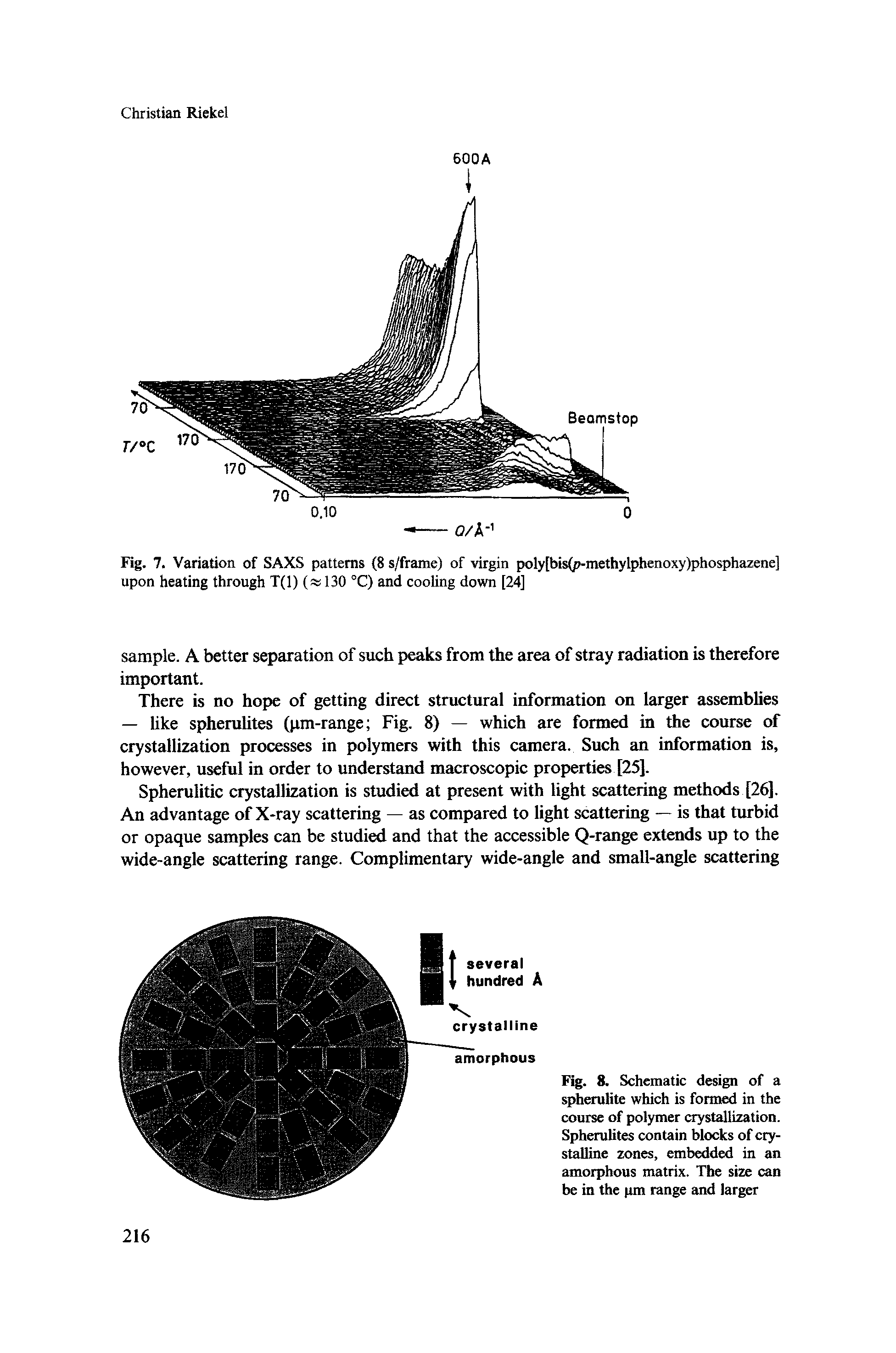 Fig. 8. Schematic design of a spherulite which is formed in the course of polymer crystallization. Spherulites contain blocks of crystalline zones, embedded in an amorphous matrix. The size can be in the pm range and larger...