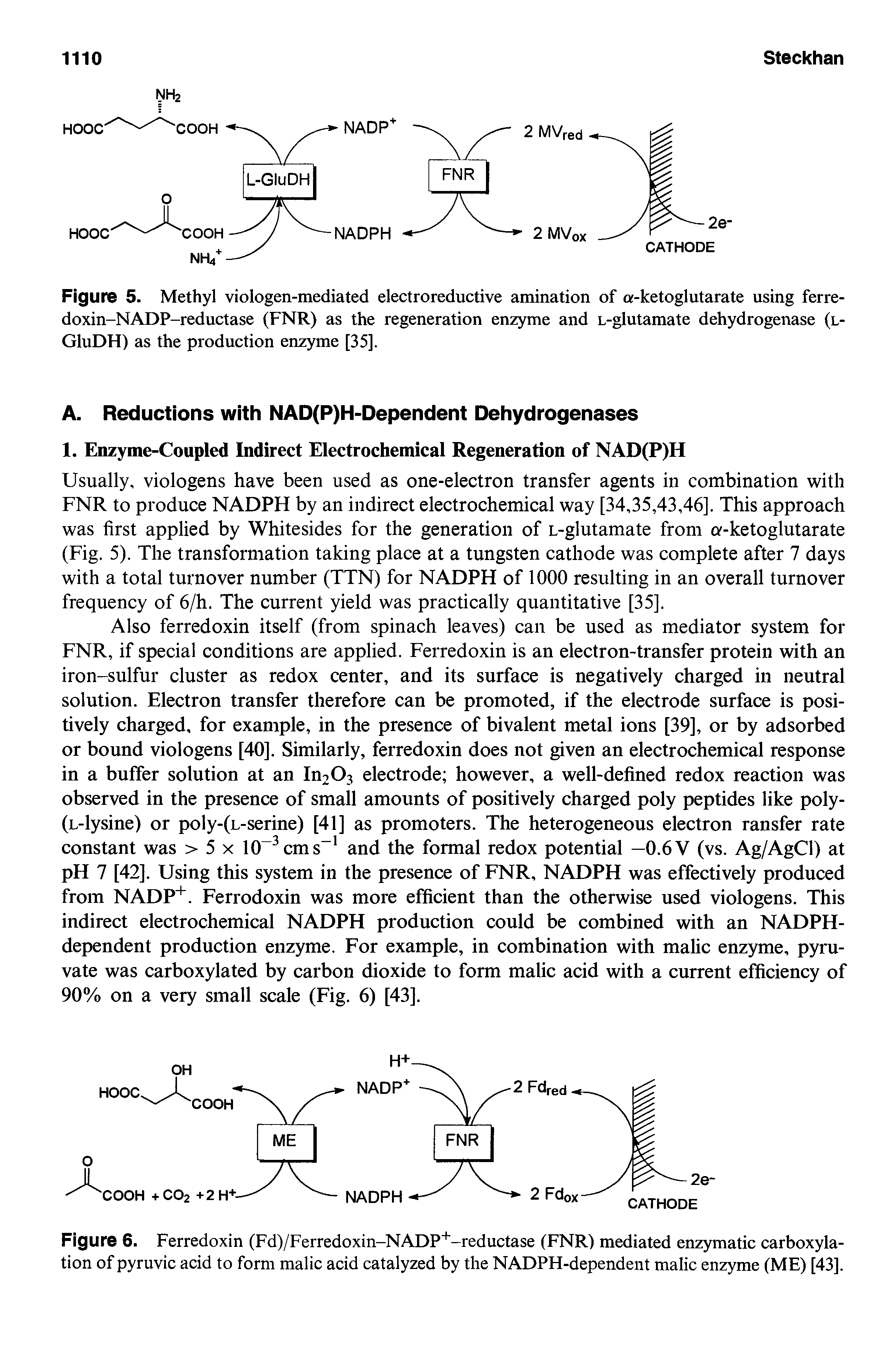 Figure 5. Methyl viologen-mediated electroreductive amination of a-ketoglutarate using ferre-doxin-NADP-reductase (FNR) as the regeneration enzyme and L-glutamate dehydrogenase (l-GluDH) as the production enzyme [35].