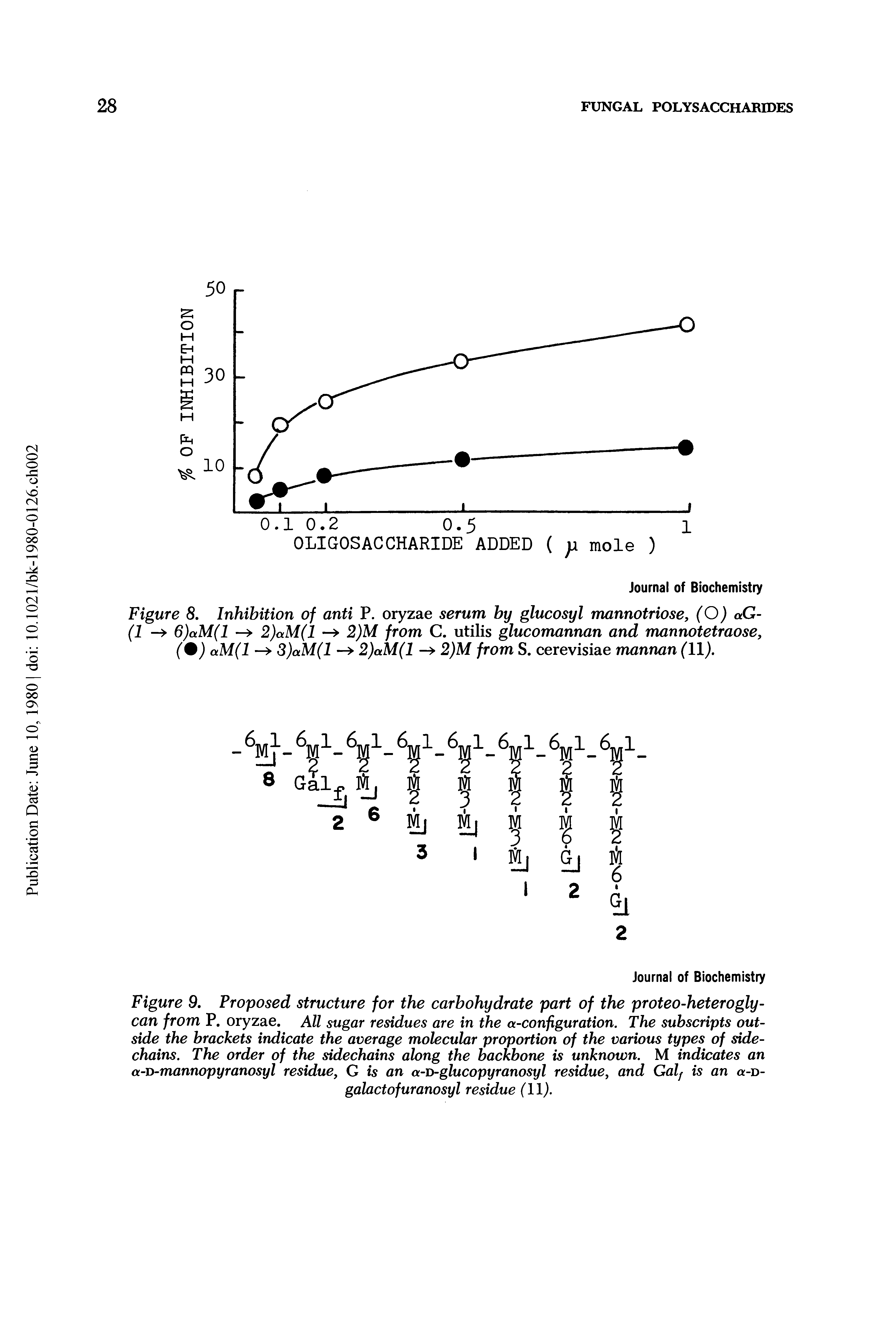 Figure 9. Proposed structure for the carbohydrate part of the proteo-heterogly-can from P. oryzae. All sugar residues are in the a-configuration. The subscripts outside the brackets indicate the average molecular proportion of the various types of side-chains. The order of the sidechains along the backbone is unknown. M indicates an a-D-mannopyranosyl residue, G is an a-D-glucopyranosyl residue, and Galf is an a-v-galactofuranosyl residue (11).