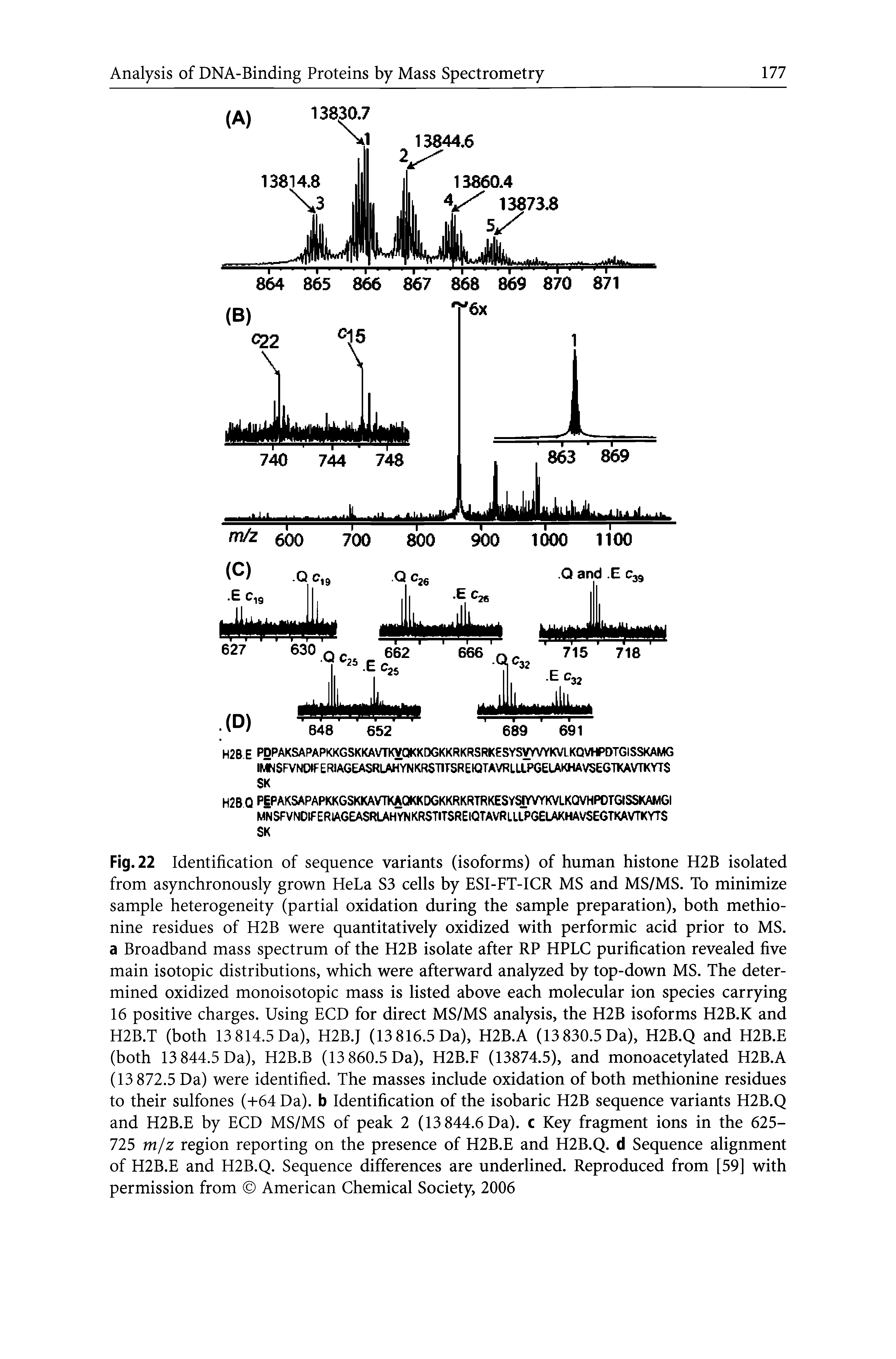 Fig. 22 Identification of sequence variants (isoforms) of human histone H2B isolated from asynchronously grown HeLa S3 cells by ESI-FT-ICR MS and MS/MS. To minimize sample heterogeneity (partial oxidation during the sample preparation), both methionine residues of H2B were quantitatively oxidized with performic acid prior to MS. a Broadband mass spectrum of the H2B isolate after RP HPLC purification revealed five main isotopic distributions, which were afterward analyzed by top-down MS. The determined oxidized monoisotopic mass is listed above each molecular ion species carrying 16 positive charges. Using BCD for direct MS/MS analysis, the H2B isoforms H2B.K and H2B.T (both 13 814.5 Da), H2B.J (13 816.5 Da), H2B.A (13 830.5 Da), H2B.Q and H2B.E (both 13 844.5 Da), H2B.B (13 860.5 Da), H2B.F (13874.5), and monoacetylated H2B.A (13 872.5 Da) were identified. The masses include oxidation of both methionine residues to their sulfones (-1-64 Da), b Identification of the isobaric H2B sequence variants H2B.Q and H2B.E by ECD MS/MS of peak 2 (13 844.6 Da), c Key fragment ions in the 625-725 m/z region reporting on the presence of H2B.E and H2B.Q. d Sequence alignment of H2B.E and H2B.Q. Sequence differences are underlined. Reproduced from [59] with permission from American Chemical Society, 2006...