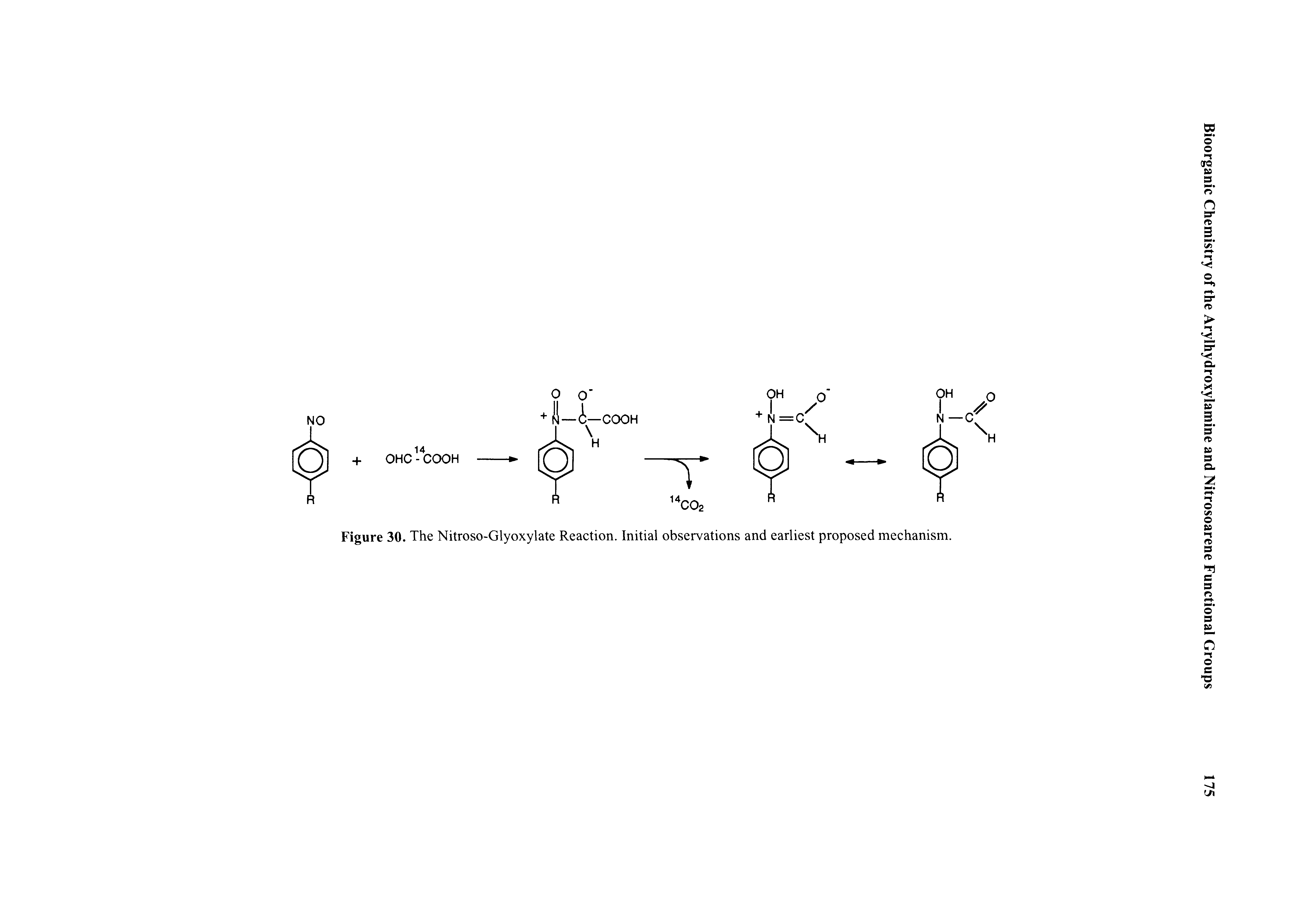 Figure 30. The Nitroso-Glyoxylate Reaction. Initial observations and earliest proposed mechanism.