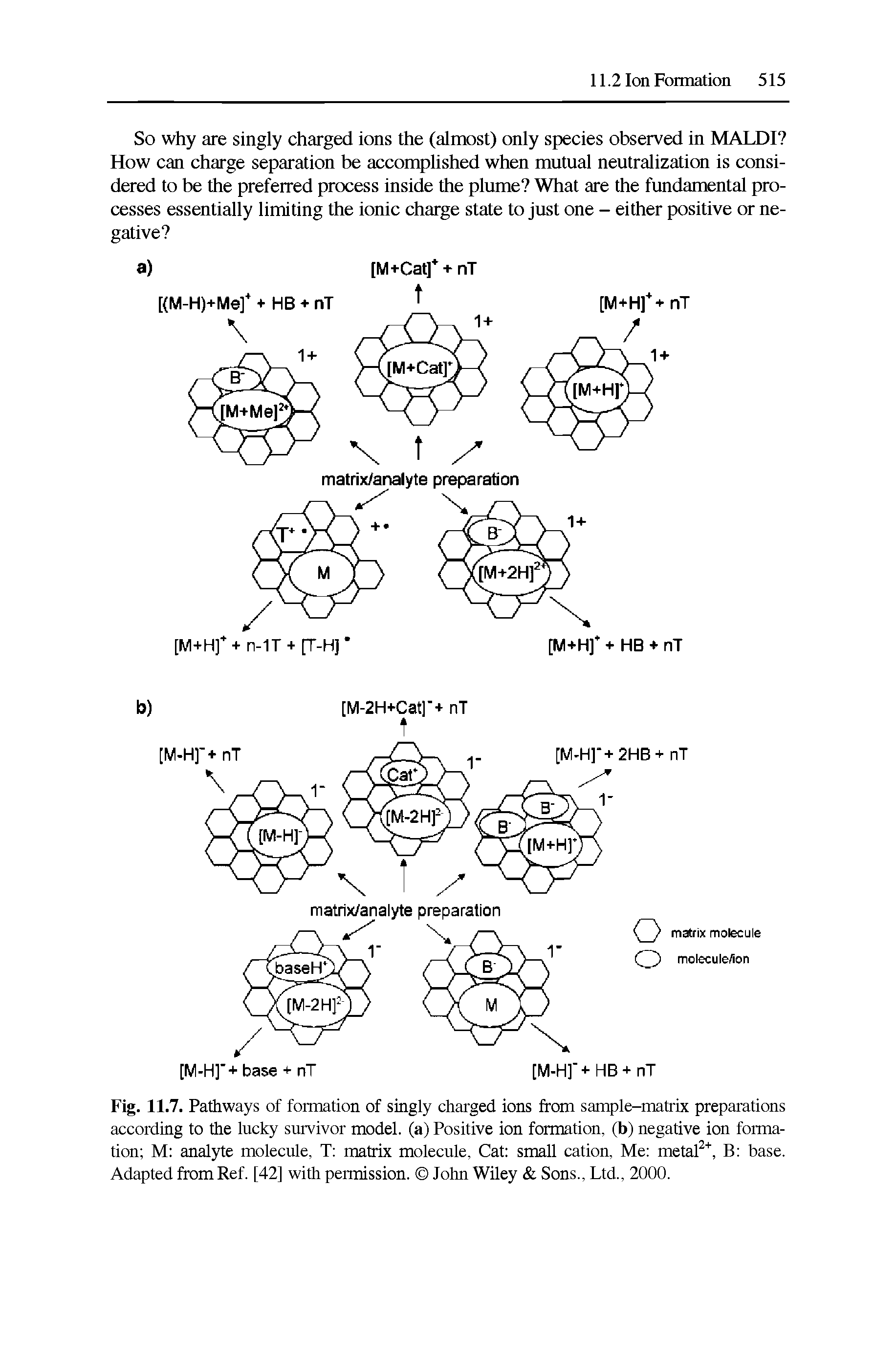 Fig. 11.7. Pathways of formation of singly charged ions from sample-matrix preparations according to the lucky survivor model, (a) Positive ion formation, (b) negative ion formation M analyte molecule, T matrix molecule. Cat small cation. Me metal, B base. Adapted from Ref. [42] with permission. John Wiley Sons., Ltd., 2000.