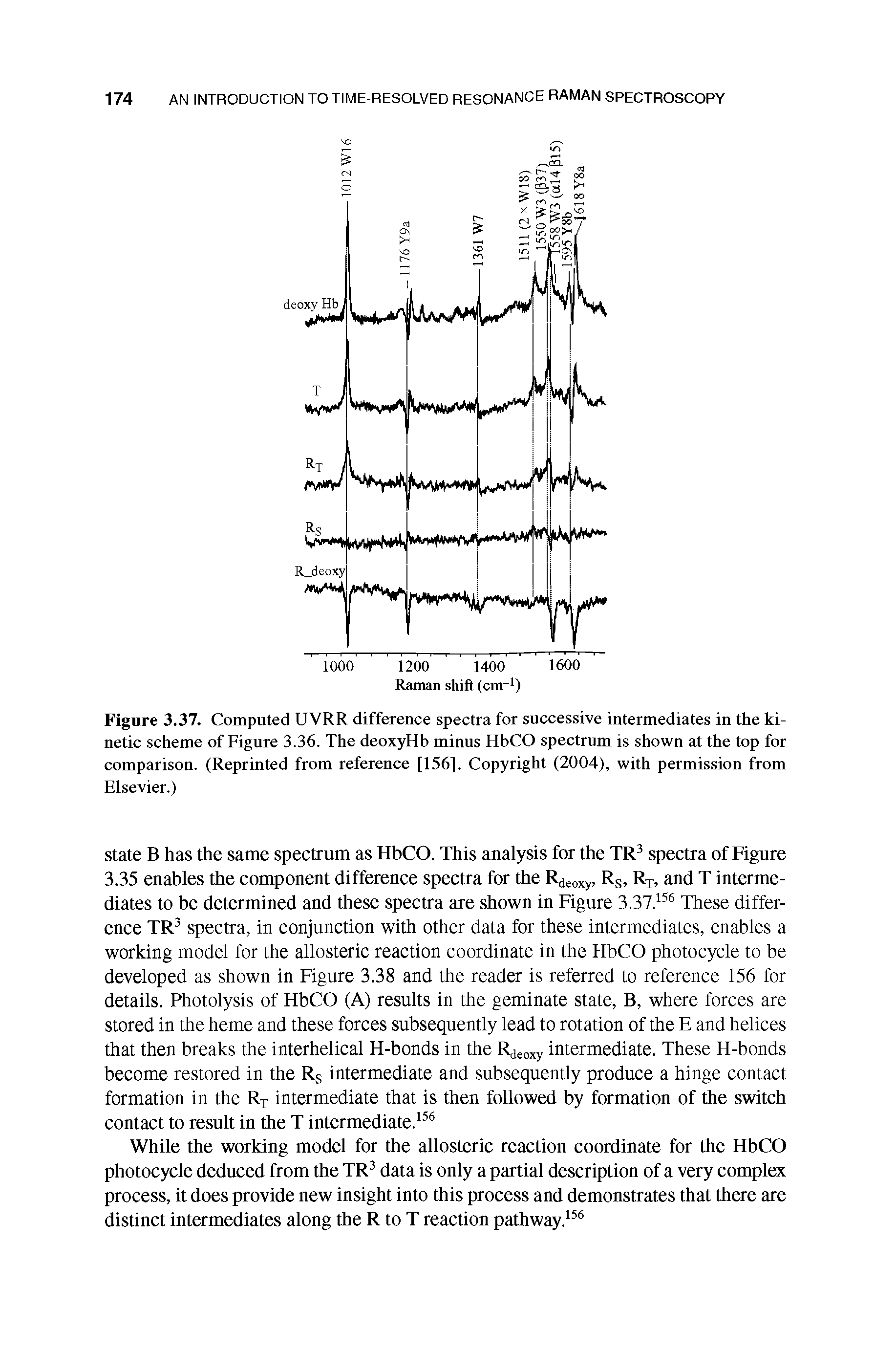 Figure 3.37. Computed UVRR difference spectra for successive intermediates in the kinetic scheme of Figure 3.36. The deoxyHb minus ffbCO spectrum is shown at the top for comparison. (Reprinted from reference [156]. Copyright (2004), with permission from Elsevier.)...