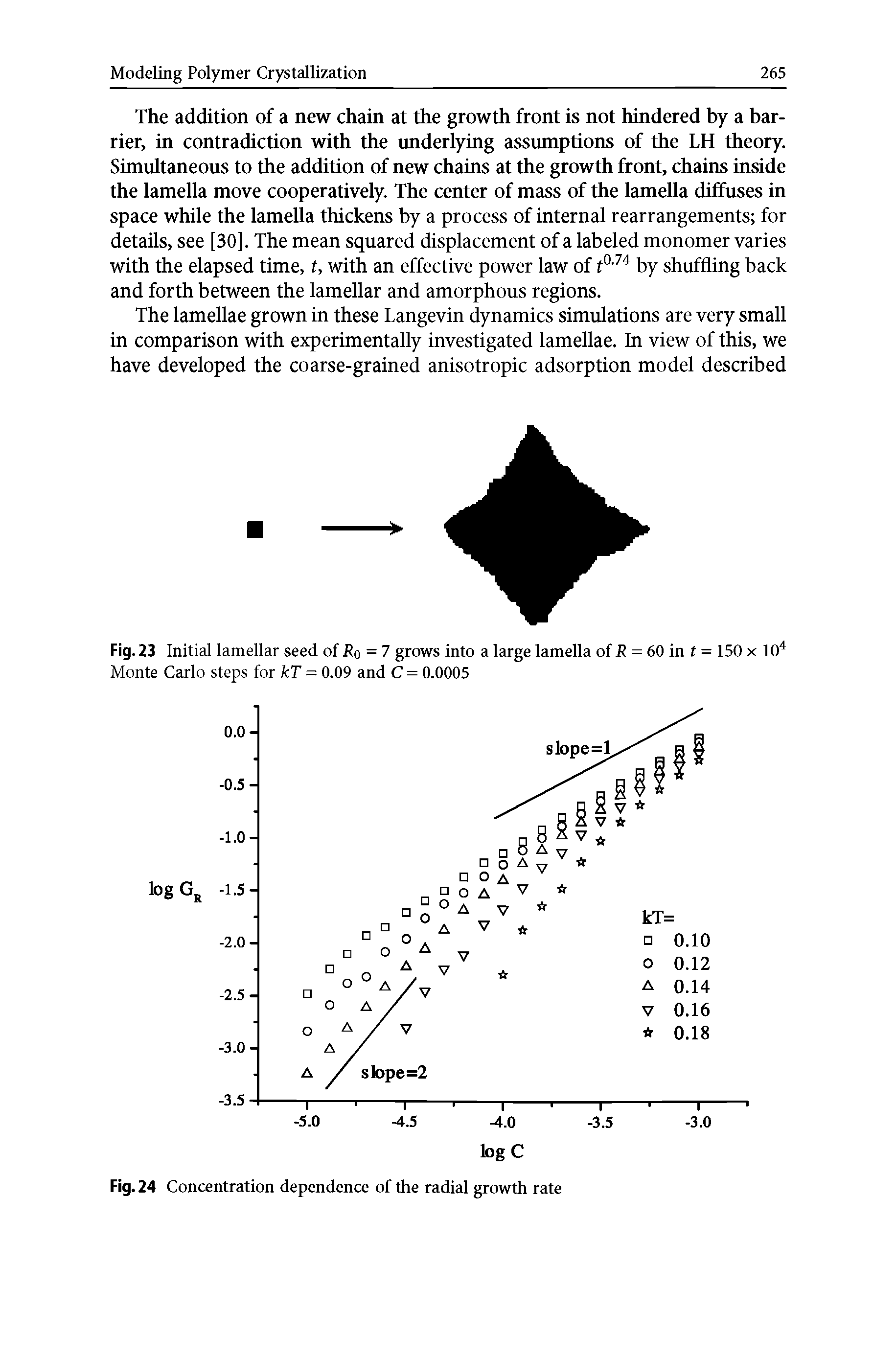 Fig. 23 Initial lamellar seed of Ro = 7 grows into a large lamella of R = 60 in t = 150 x 104 Monte Carlo steps for kT = 0.09 and C = 0.0005...