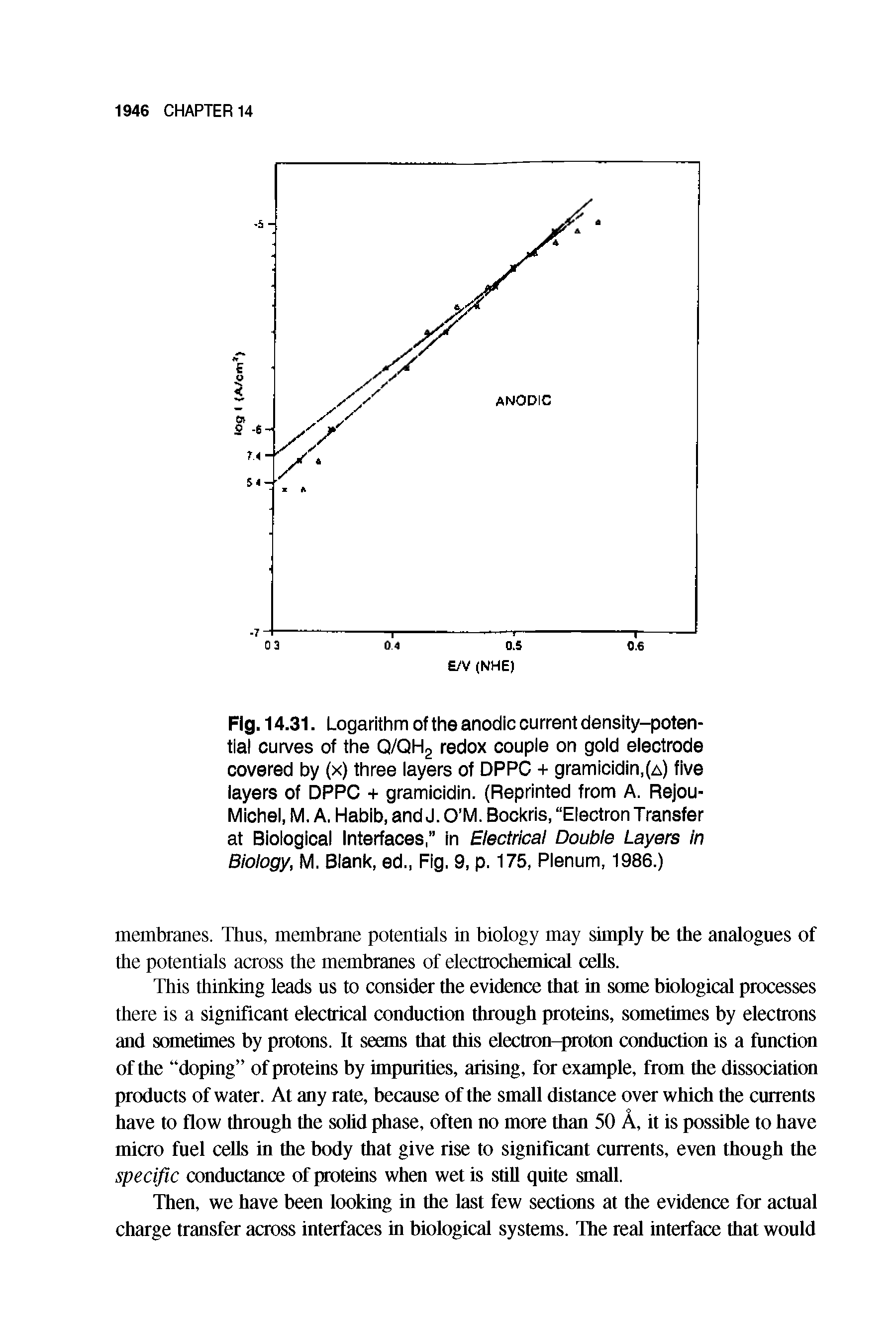 Fig. 14.31. Logarithm of the anodic current density-potential curves of the Q/QH2 redox couple on gold electrode covered by (x) three layers of DPPC + gramicidin,(a) five layers of DPPC + gramicidin. (Reprinted from A. Rejou-Michel, M. A. Habib, and J. O M. Bockris, Electron Transfer at Biological Interfaces, in Electrical Double Layers in Biology, M. Blank, ed., Fig. 9, p. 175, Plenum, 1986.)...