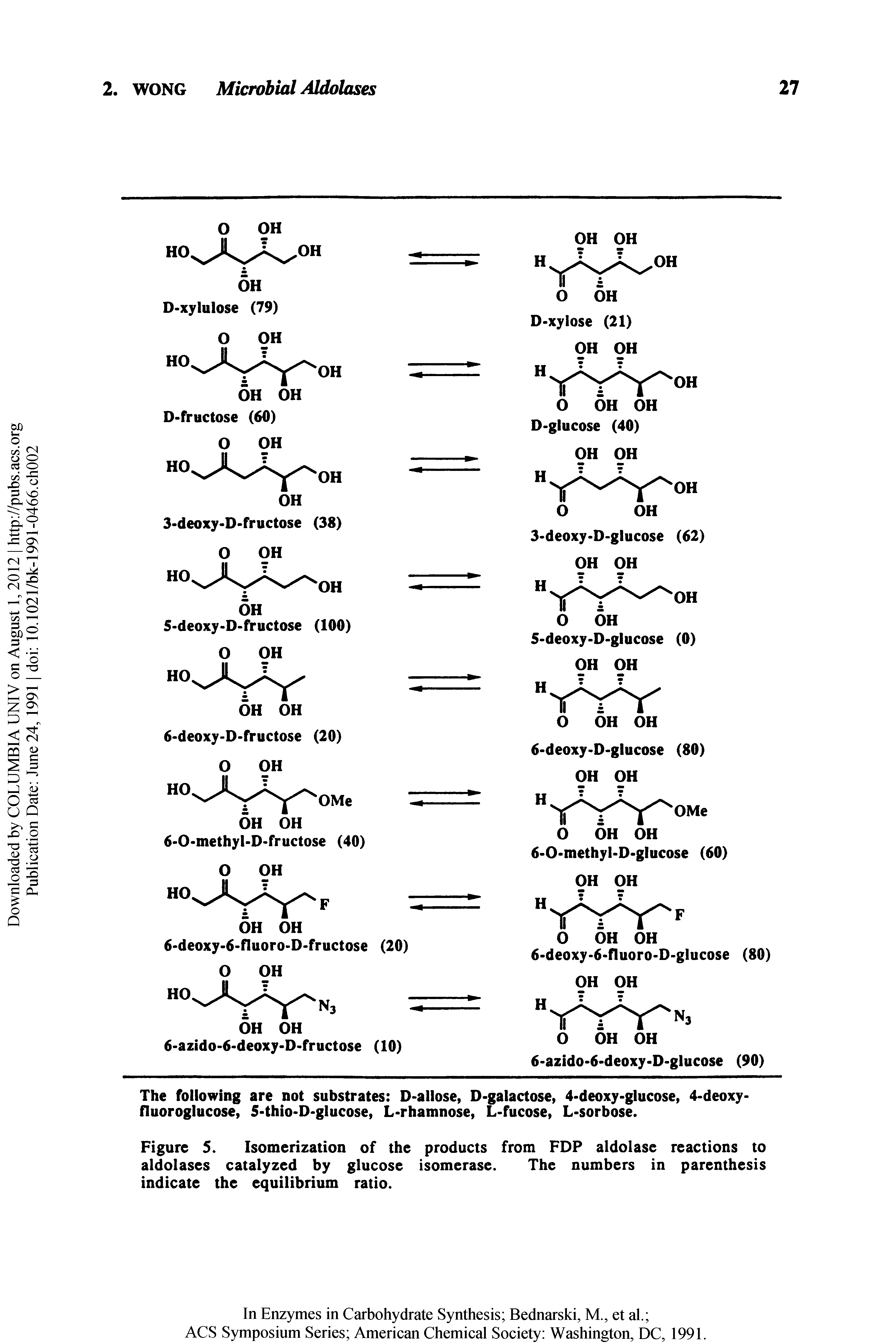 Figure 5. Isomerization of the products from FDP aldolase reactions to aldolases catalyzed by glucose isomerase. The numbers in parenthesis indicate the equilibrium ratio.