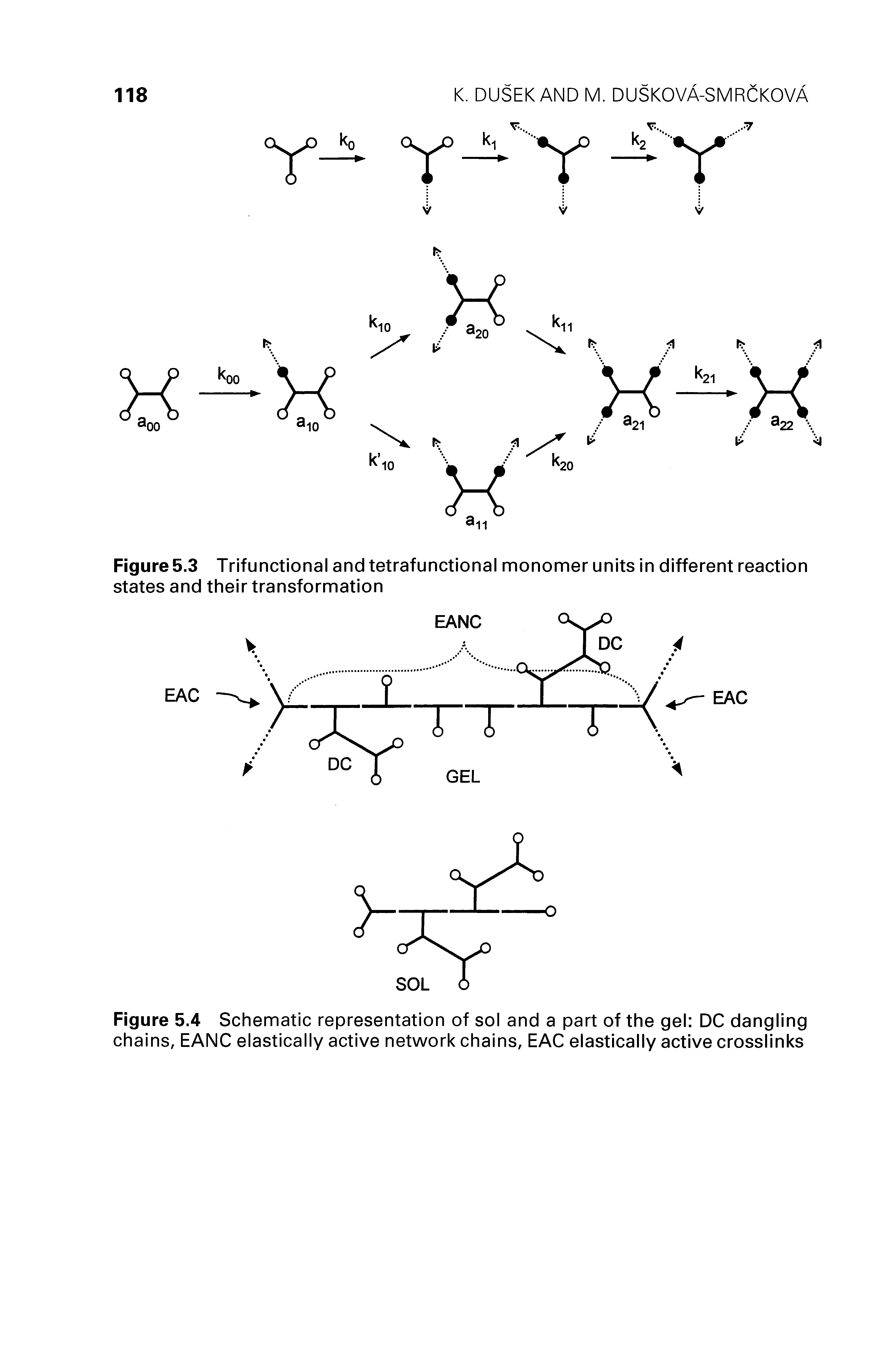 Figure 5.3 Trifunctional and tetrafunctional monomer units in different reaction states and their transformation...