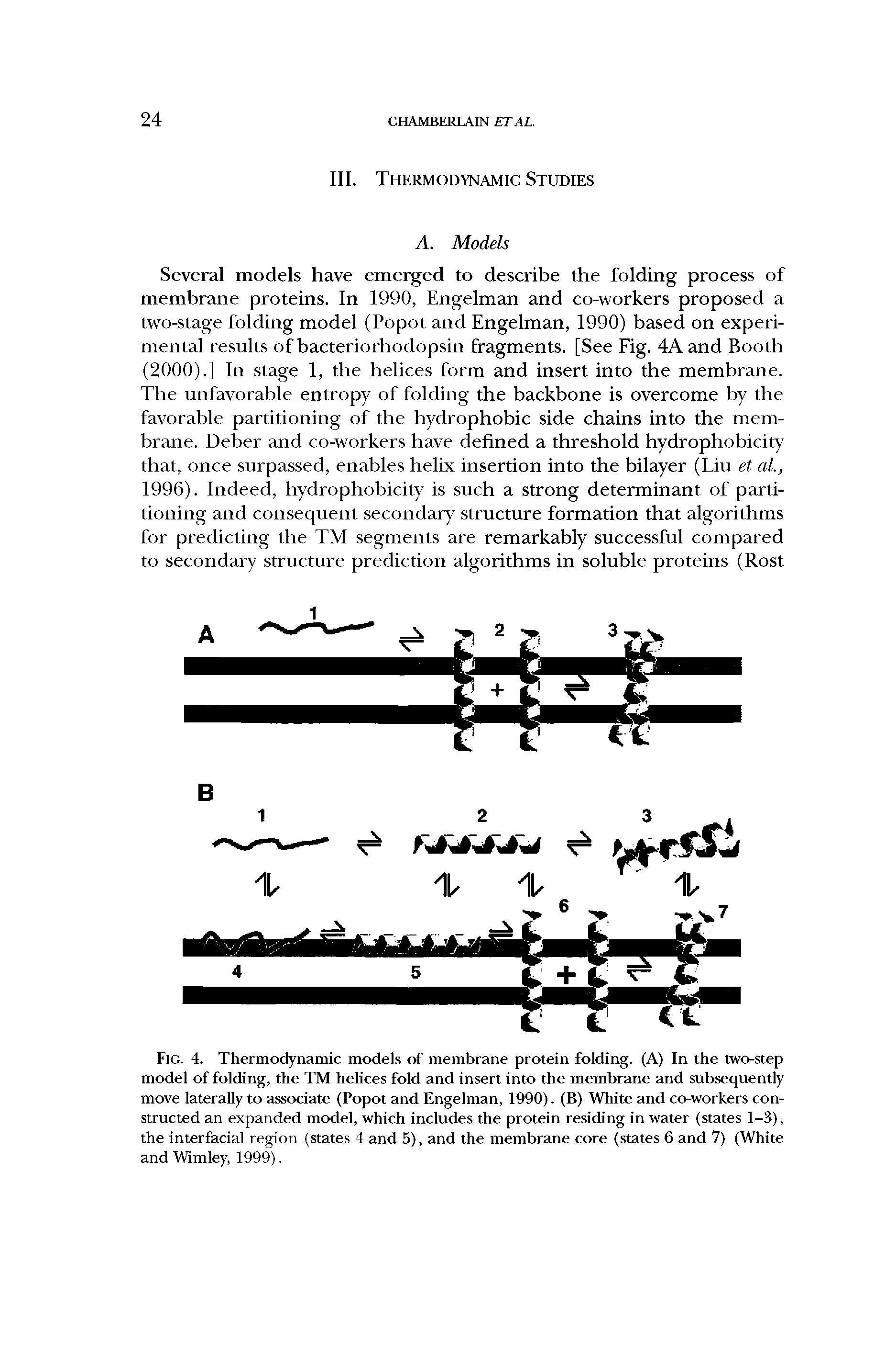 Fig. 4. Thermodynamic models of membrane protein folding. (A) In the two-step model of folding, the TM helices fold and insert into the membrane and subsequently move laterally to associate (Popot and Engelman, 1990). (B) White and co-workers constructed an expanded model, which includes the protein residing in water (states 1-3), the interfacial region (states 4 and 5), and the membrane core (states 6 and 7) (White and Wimley, 1999).