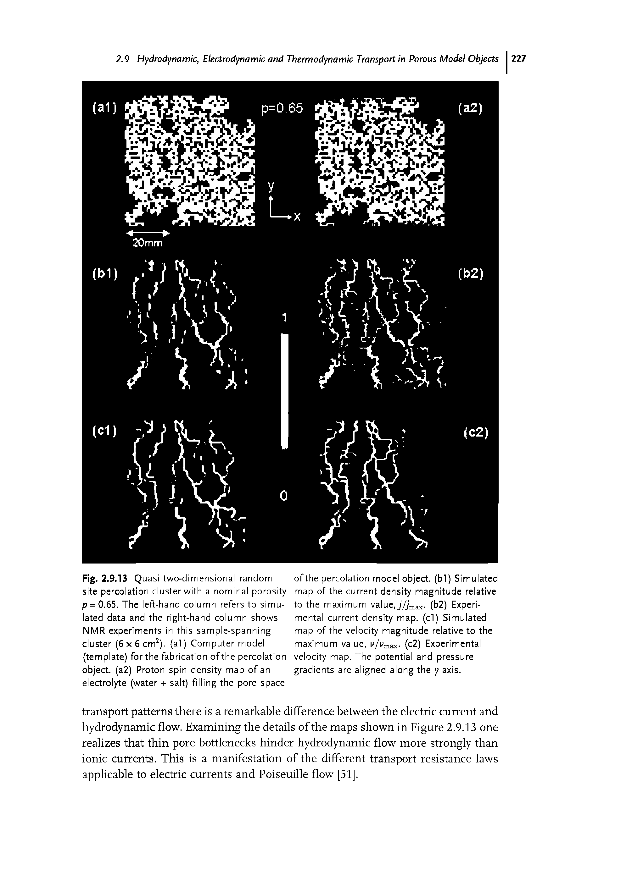 Fig. 2.9.13 Qu asi two-dimensional random ofthe percolation model object, (bl) Simulated site percolation cluster with a nominal porosity map of the current density magnitude relative p = 0.65. The left-hand column refers to simu- to the maximum value, j/jmaK. (b2) Expedited data and the right-hand column shows mental current density map. (cl) Simulated NMR experiments in this sample-spanning map of the velocity magnitude relative to the cluster (6x6 cm2), (al) Computer model maximum value, v/vmax. (c2) Experimental (template) for the fabrication ofthe percolation velocity map. The potential and pressure object. (a2) Proton spin density map of an gradients are aligned along the y axis, electrolyte (water + salt) filling the pore space...