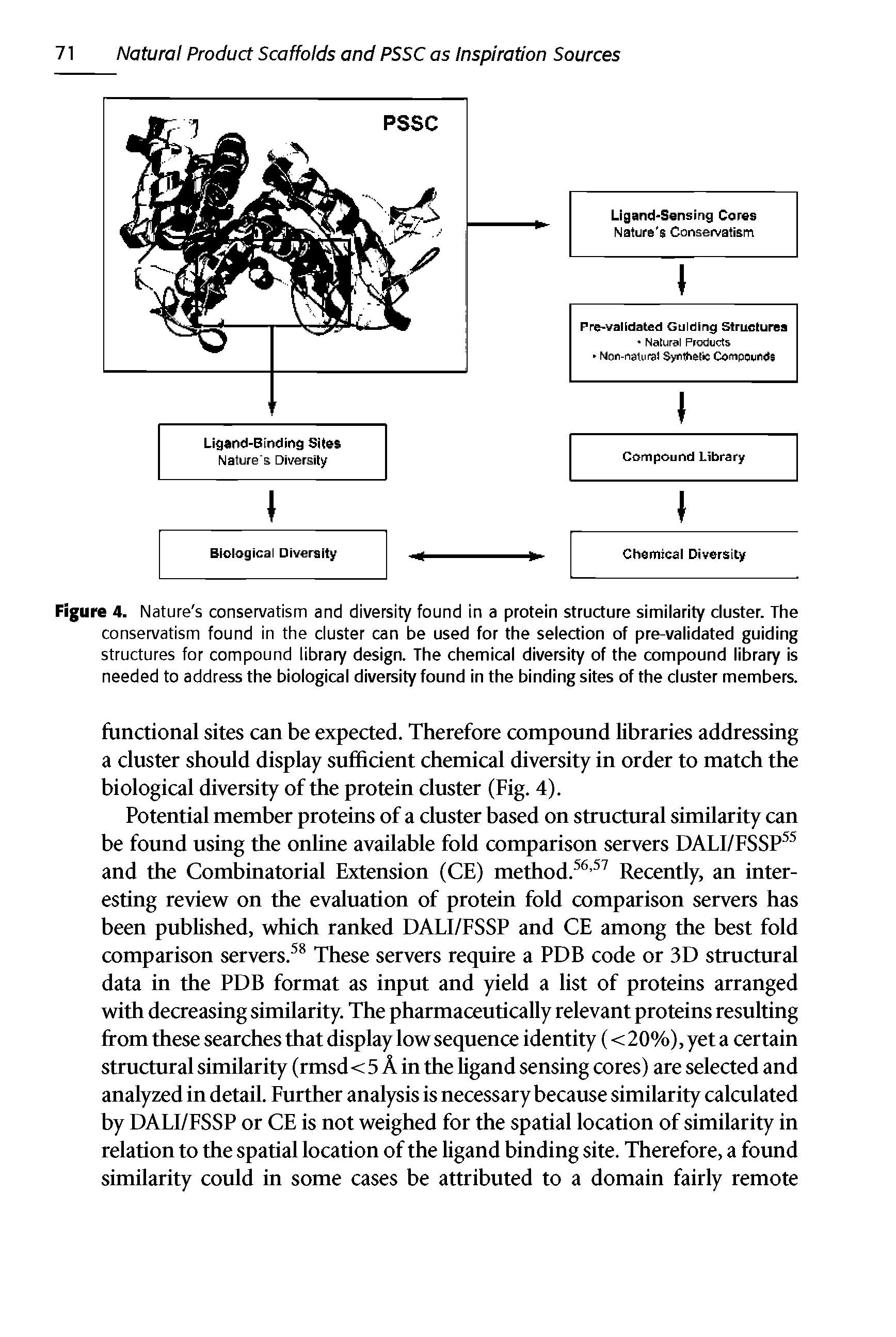 Figure 4. Nature s conservatism and diversity found in a protein structure similarity cluster. The conservatism found in the cluster can be used for the selection of pre-validated guiding structures for compound library design. The chemical diversity of the compound library is needed to address the biological diversity found in the binding sites of the cluster members.