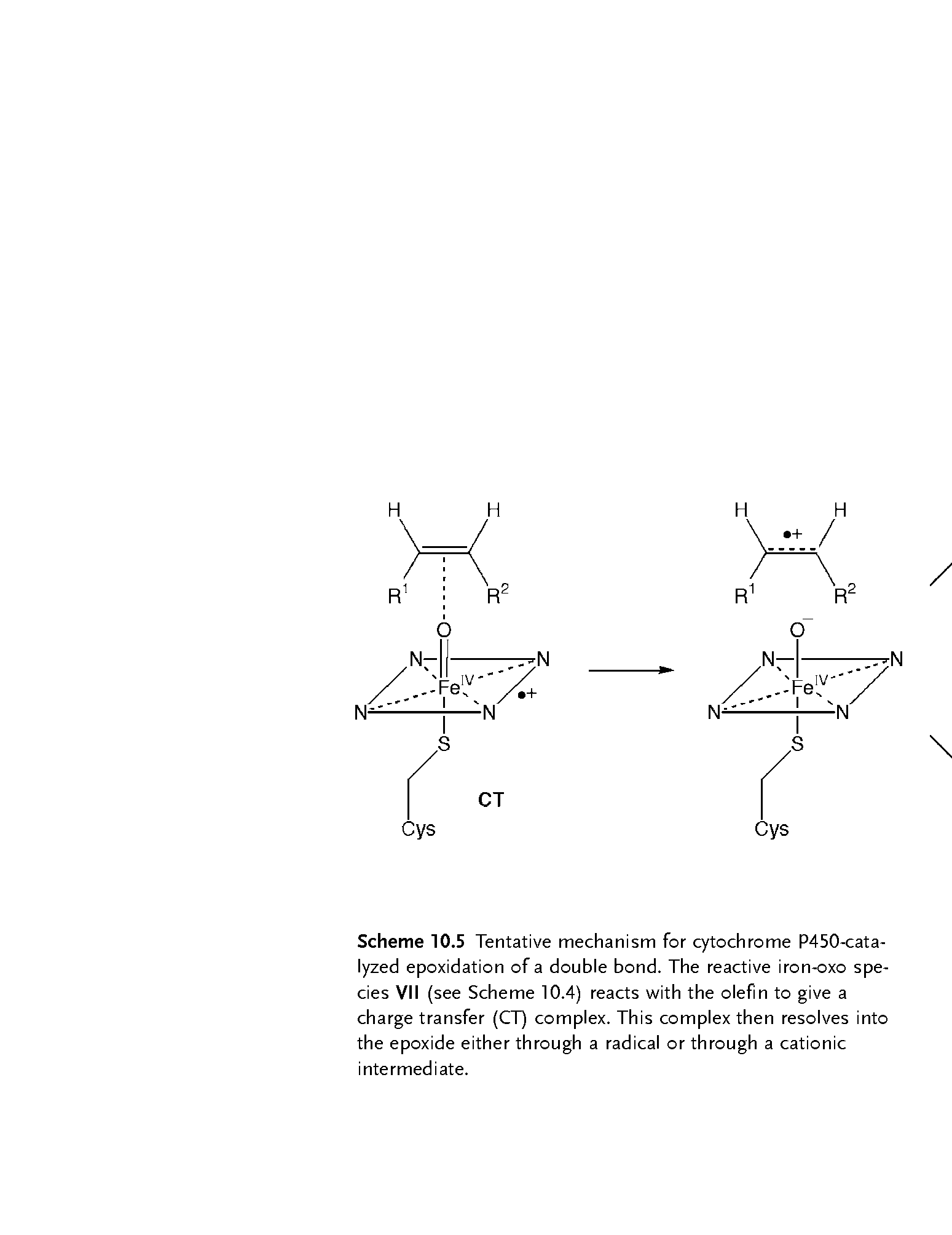 Scheme 10.5 Tentative mechanism for cytochrome P450-cata-lyzed epoxidation of a double bond. The reactive iron-oxo species VII (see Scheme 10.4) reacts with the olefin to give a charge transfer (CT) complex. This complex then resolves into the epoxide either through a radical or through a cationic intermediate.