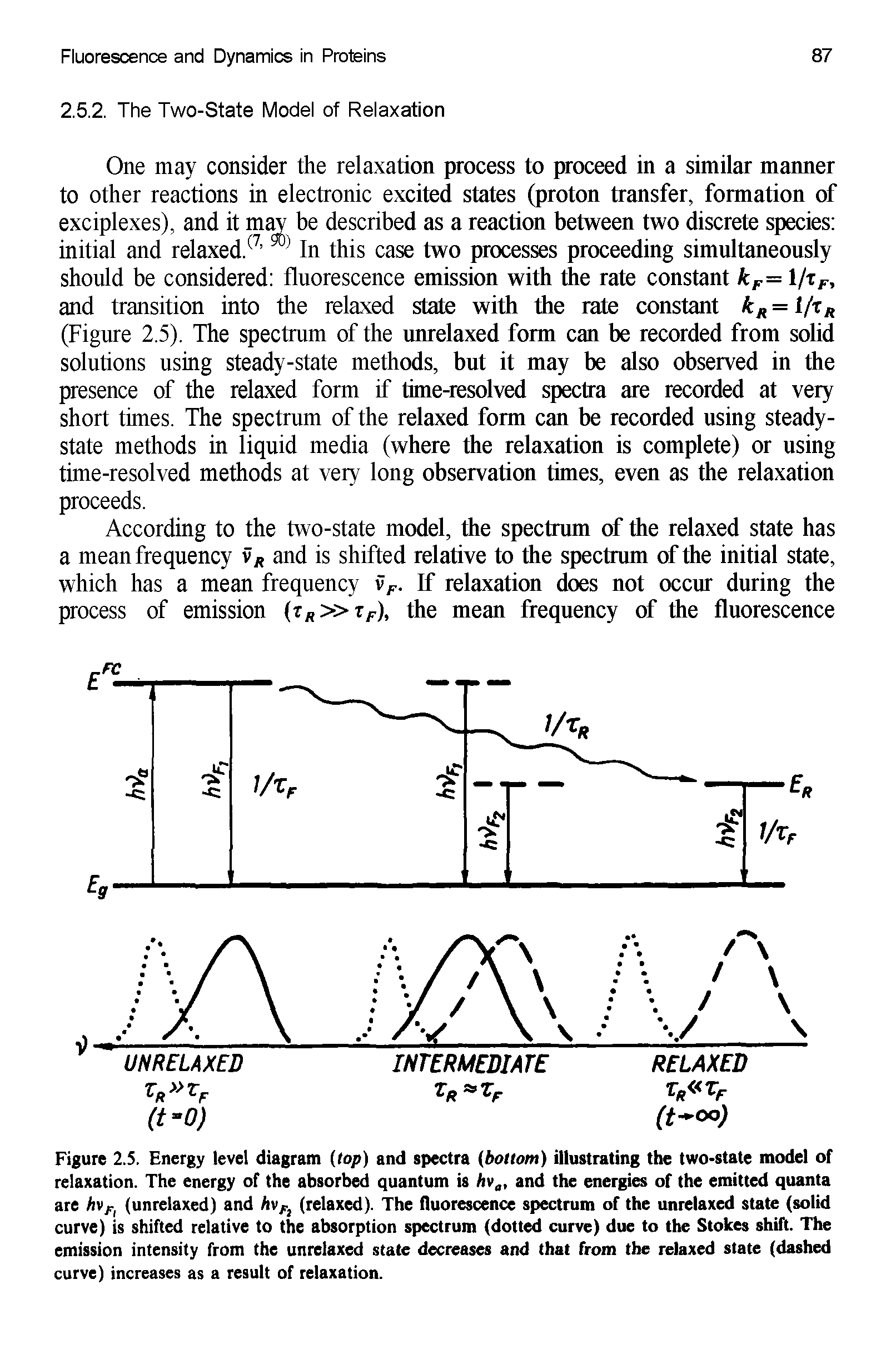 Figure 2.5. Energy level diagram (top) and spectra (bottom) illustrating the two-state model of relaxation. The energy of the absorbed quantum is Av , and the energies of the emitted quanta are hvfl (unrelaxed) and hvF (relaxed). The fluorescence spectrum of the unrelaxed state (solid curve) is shifted relative to the absorption spectrum (dotted curve) due to the Stokes shift. The emission intensity from the unrelaxed state decreases and that from the relaxed state (dashed curve) increases as a result of relaxation.