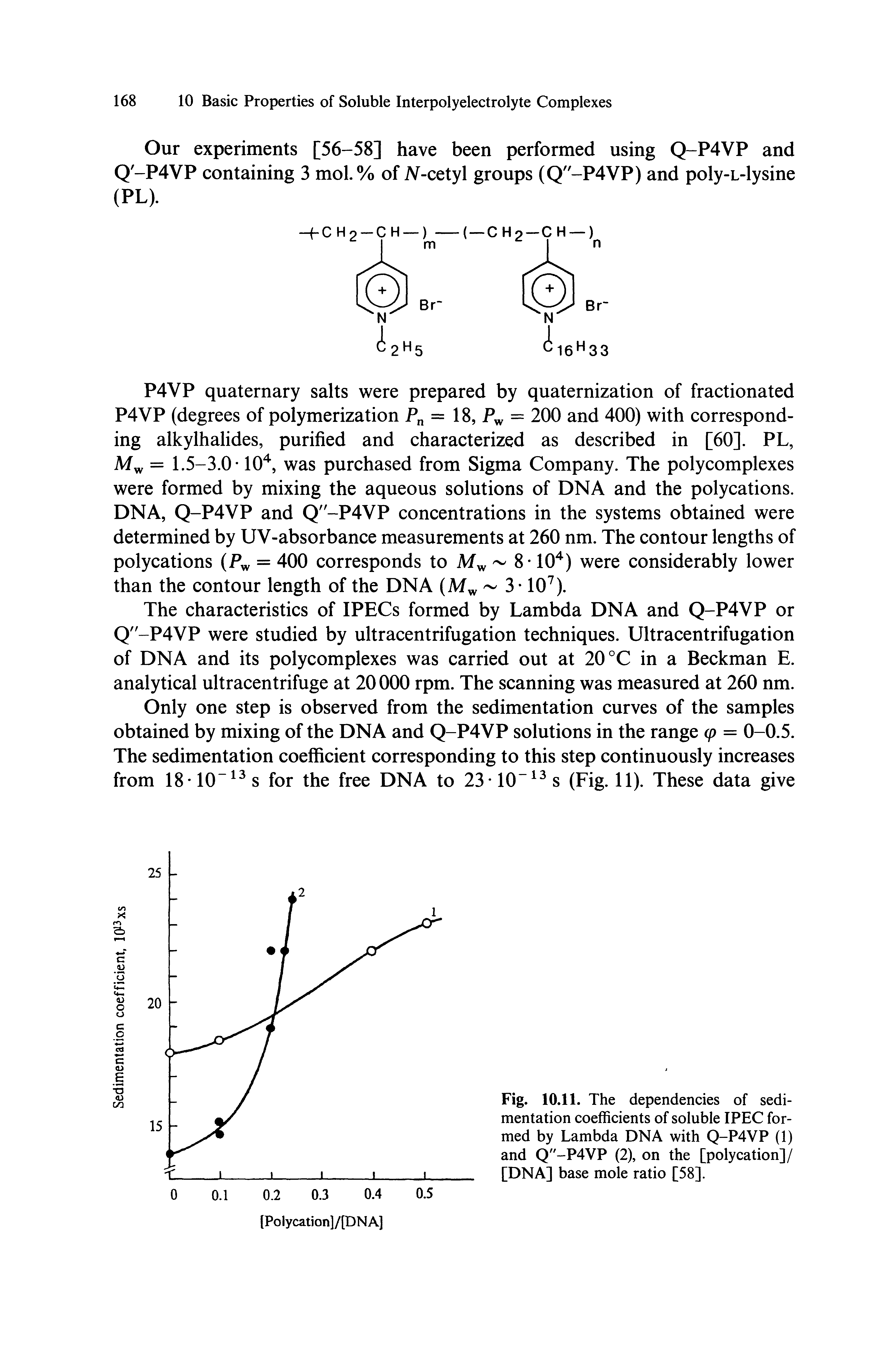 Fig. 10.11. The dependencies of sedimentation coefficients of soluble IPEC formed by Lambda DNA with Q-P4VP (1) and Q"-P4VP (2), on the [polycation]/ [DNA] base mole ratio [58].