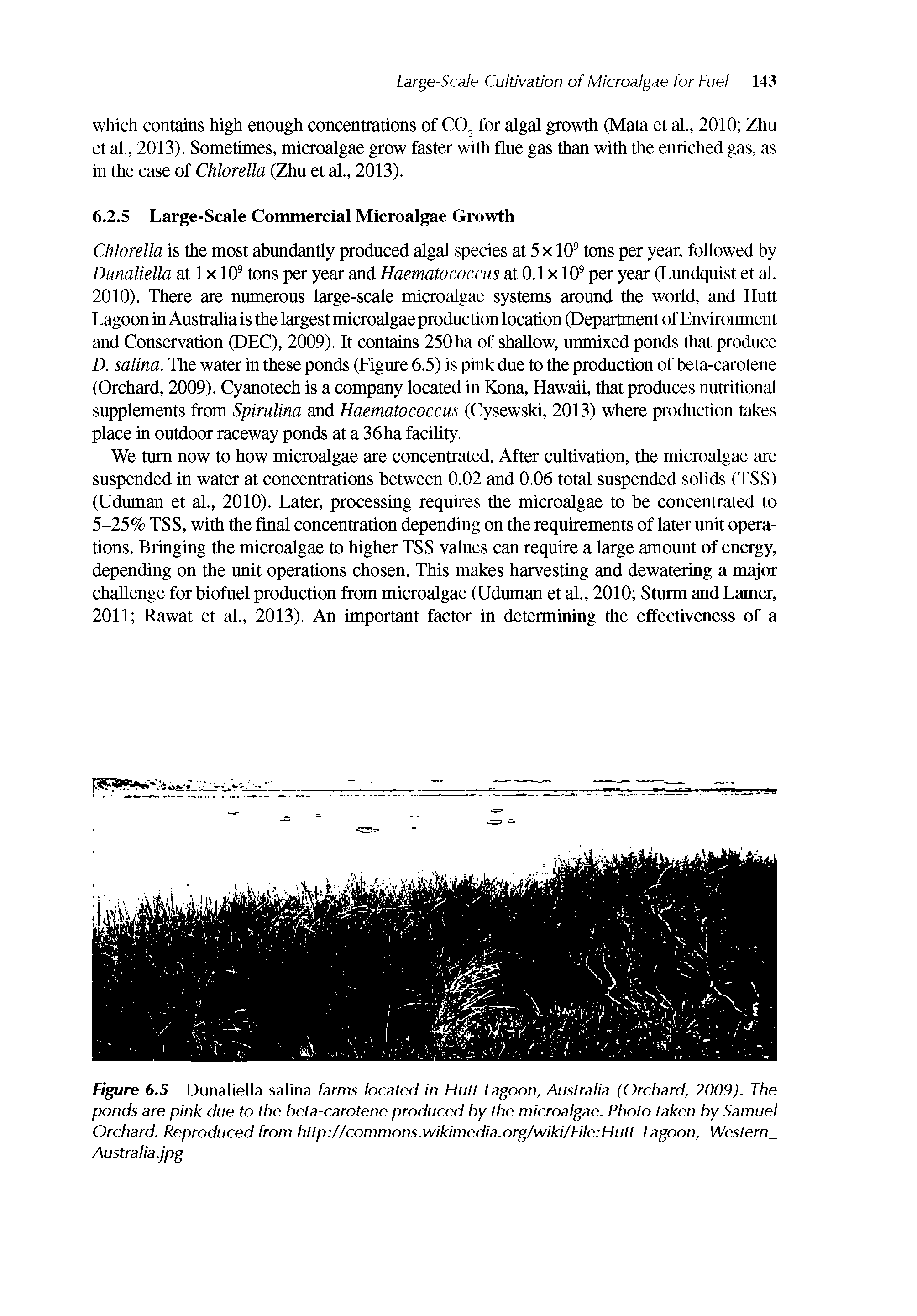 Figure 6.5 Dunaliella salina farms located in Hutt Lagoon, Australia (Orchard, 2009). The ponds are pink due to the beta-carotene produced by the microalgae. Photo taken by Samuel Orchard. Reproduced from http //commons.wikimedia.org/wiki/FUe Hutt Lagoon, Western Australia.jpg...