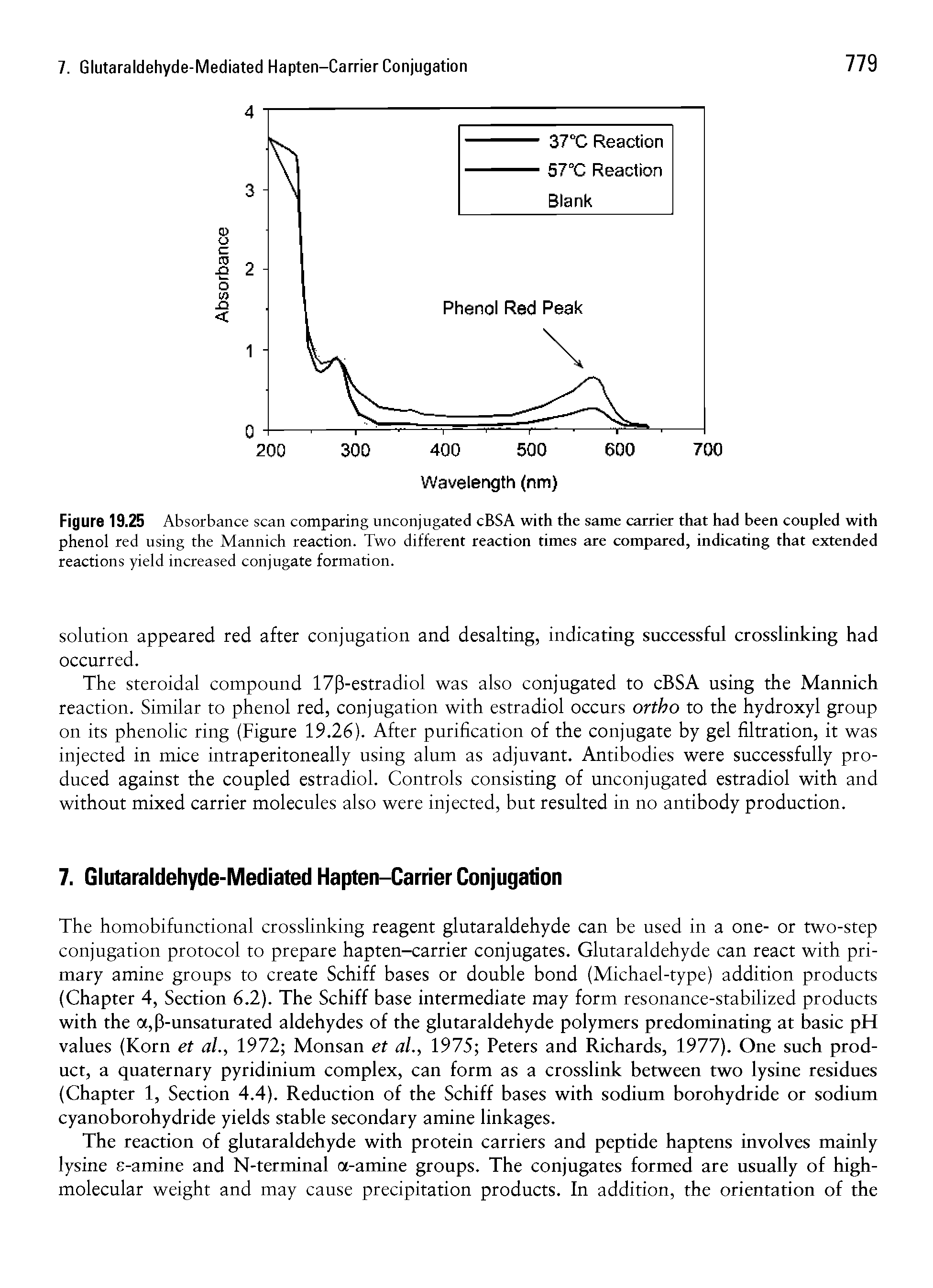 Figure 19.25 Absorbance scan comparing unconjugated cBSA with the same carrier that had been coupled with phenol red using the Mannich reaction. Two different reaction times are compared, indicating that extended reactions yield increased conjugate formation.