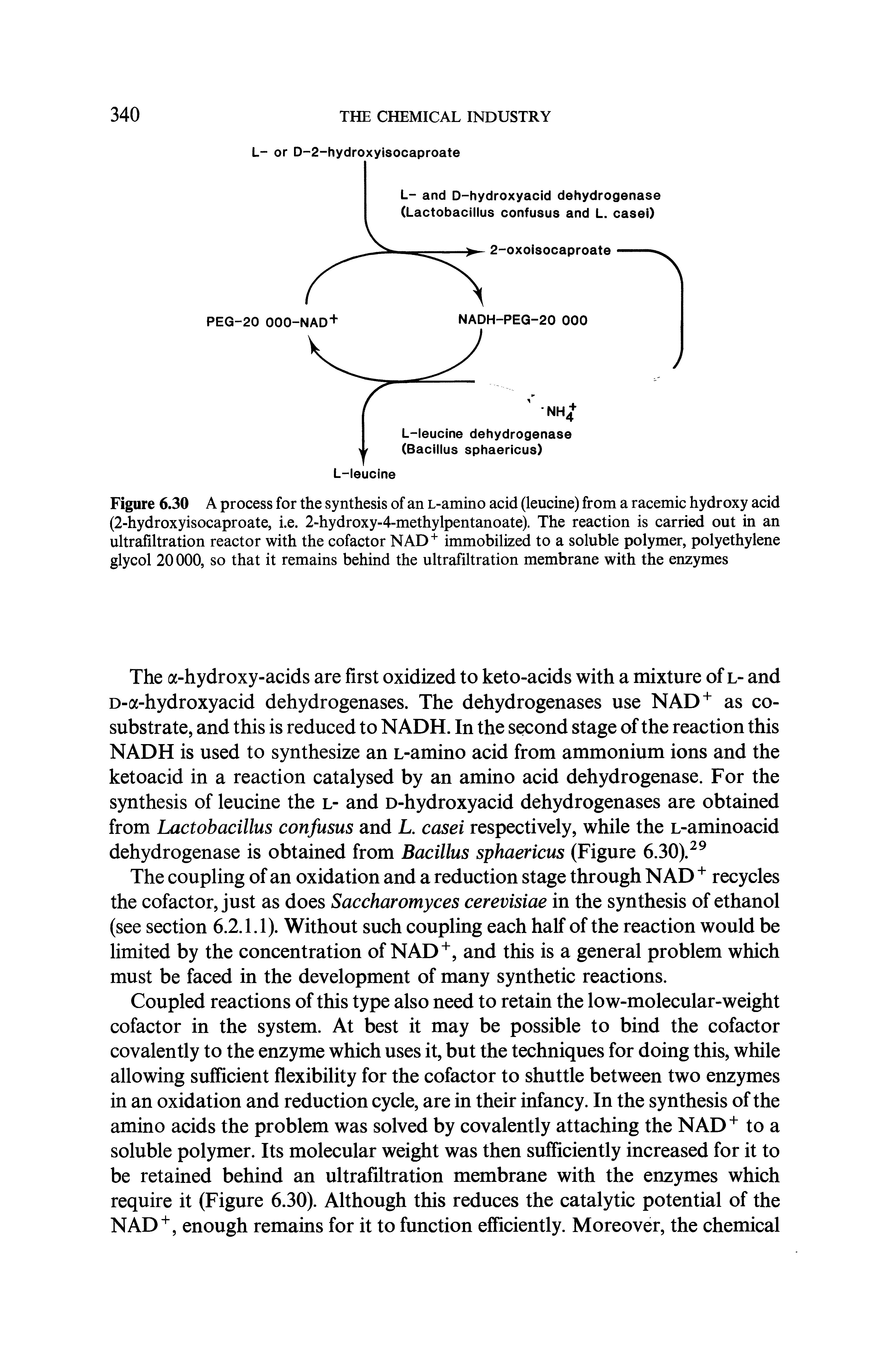 Figure 6.30 A process for the synthesis of an L-amino acid (leucine) from a racemic hydroxy acid (2-hydroxyisocaproate, i.e. 2-hydroxy-4-methylpentanoate). The reaction is carried out in an ultrafiltration reactor with the cofactor NAD immobilized to a soluble polymer, polyethylene glycol 20 000, so that it remains behind the ultrafiltration membrane with the enzymes...