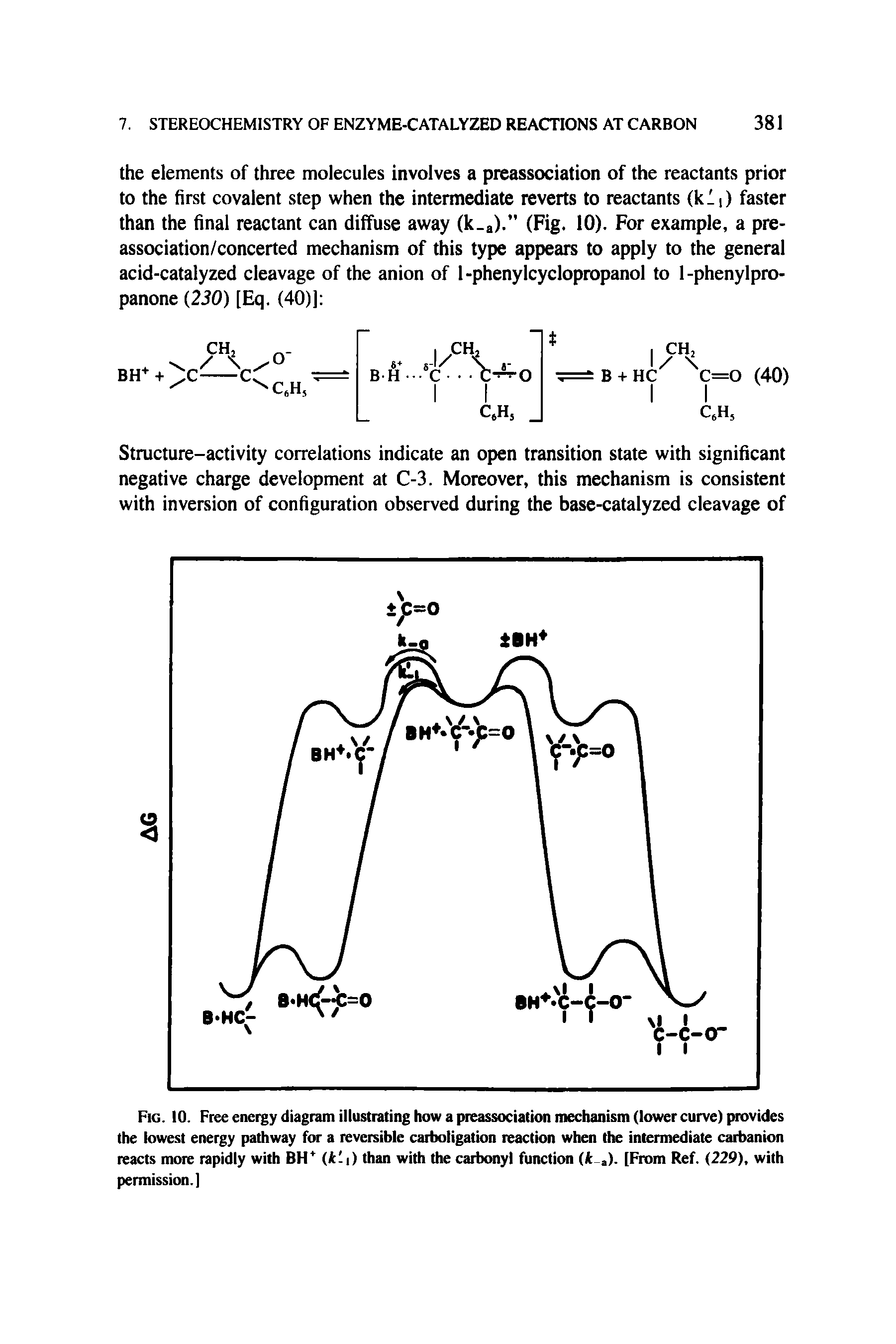 Fig. 10. Free energy diagram illustrating how a preassociation mechanism (lower curve) provides the lowest energy pathway for a reversible carboligation reaction when the intermediate carbanion reacts more rapidly with BH (k -i) than with the carbonyl function (it a). [From Ref. (229), with permission.)...